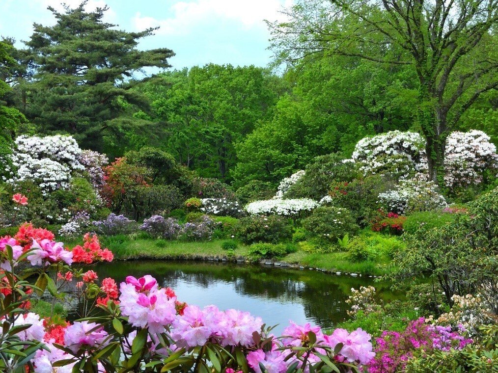 群馬県渋川市赤城町 赤城自然園