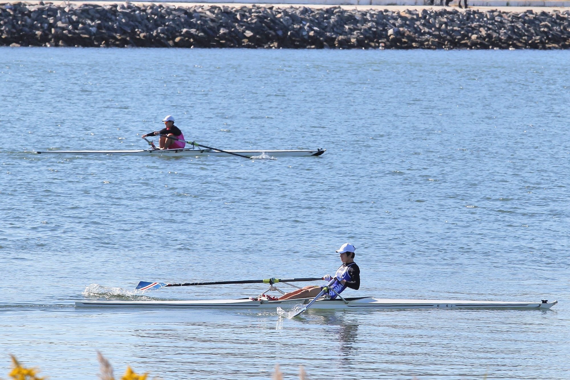 5xxnvxzbnddomm 5xxnvxzbnddomm