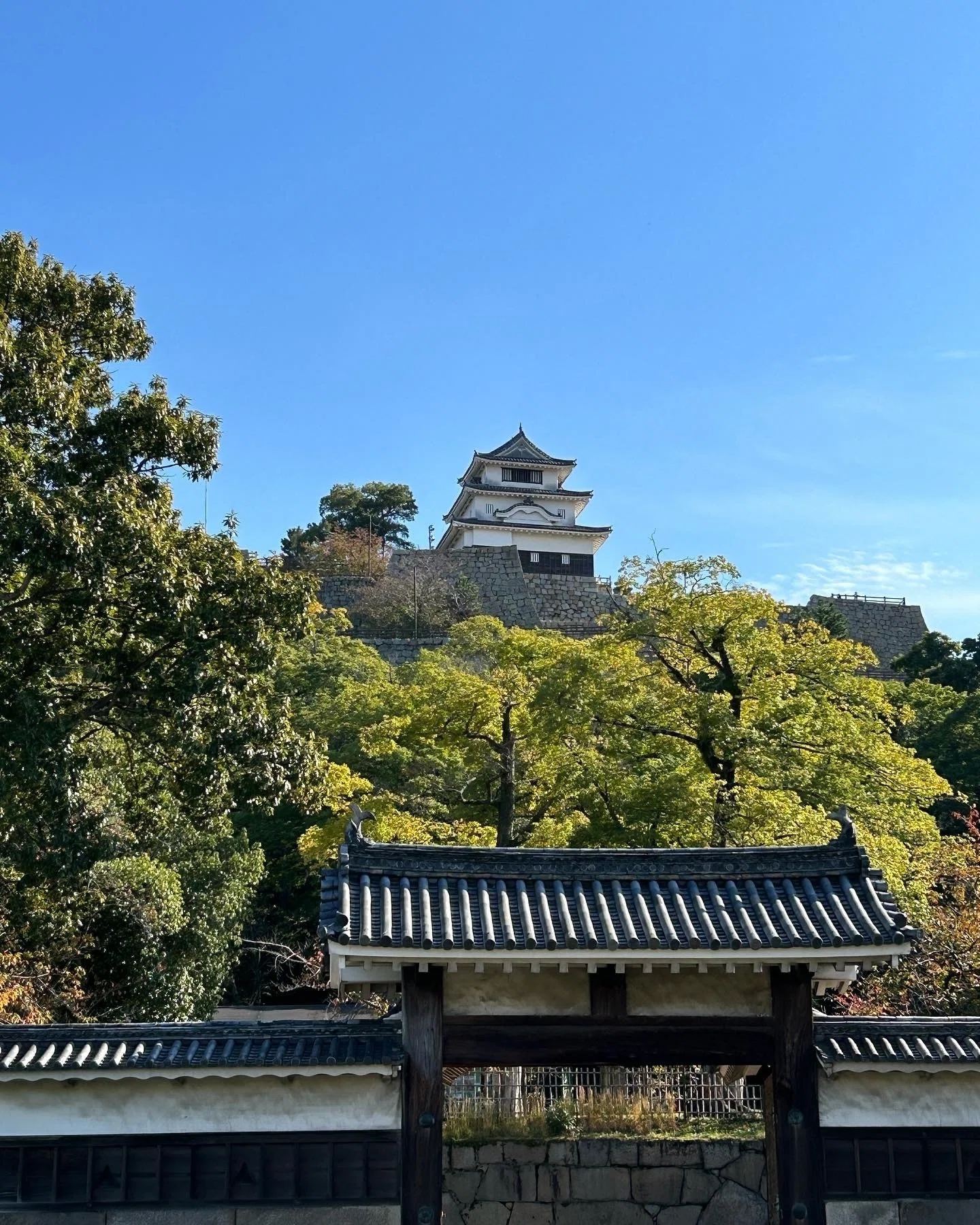 四国・瀬戸内の旅(1) 丸亀城編｜レコードが聴ける家