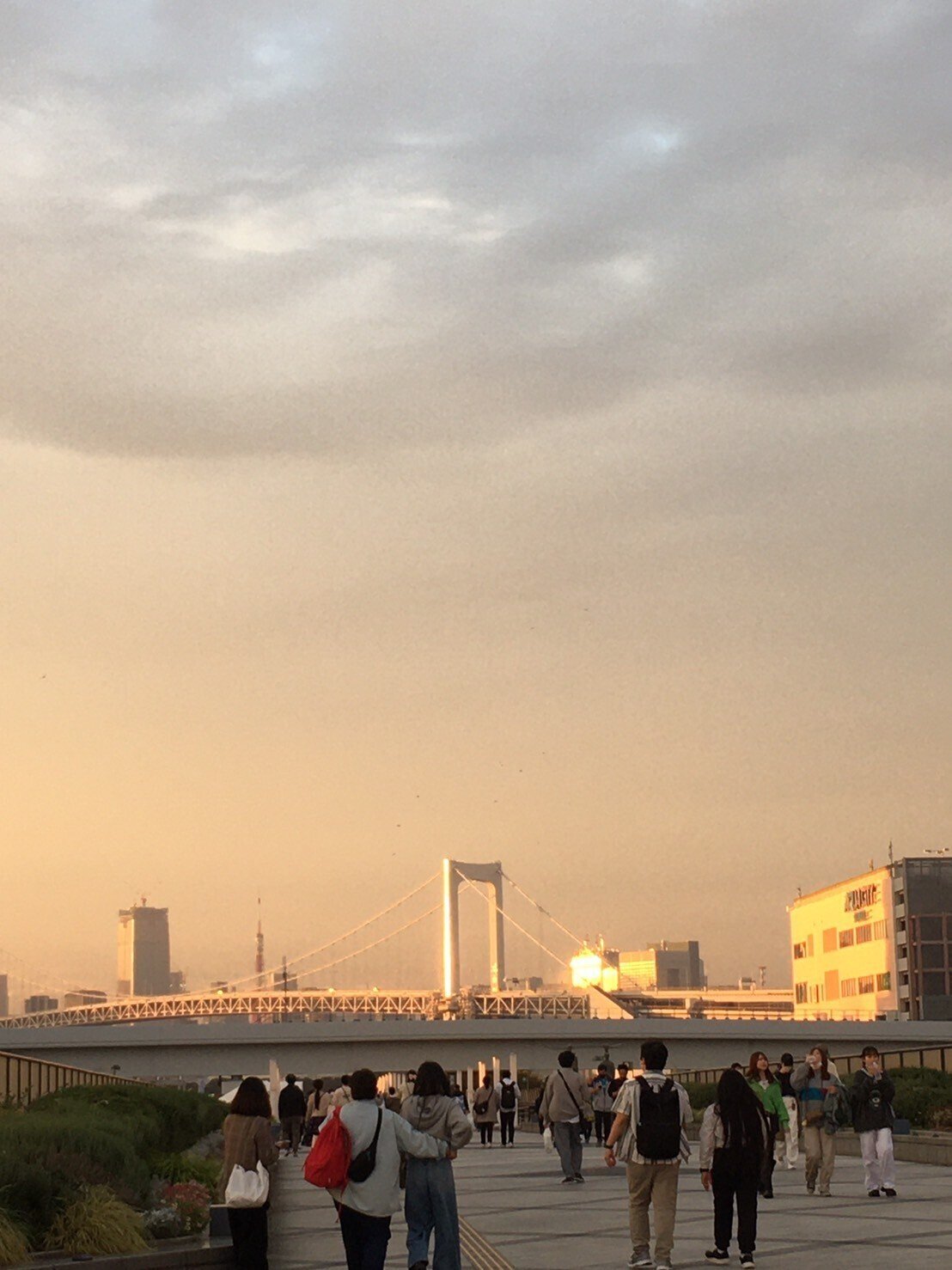 10月22日 KOTORI ワンマン東京｜YuTA