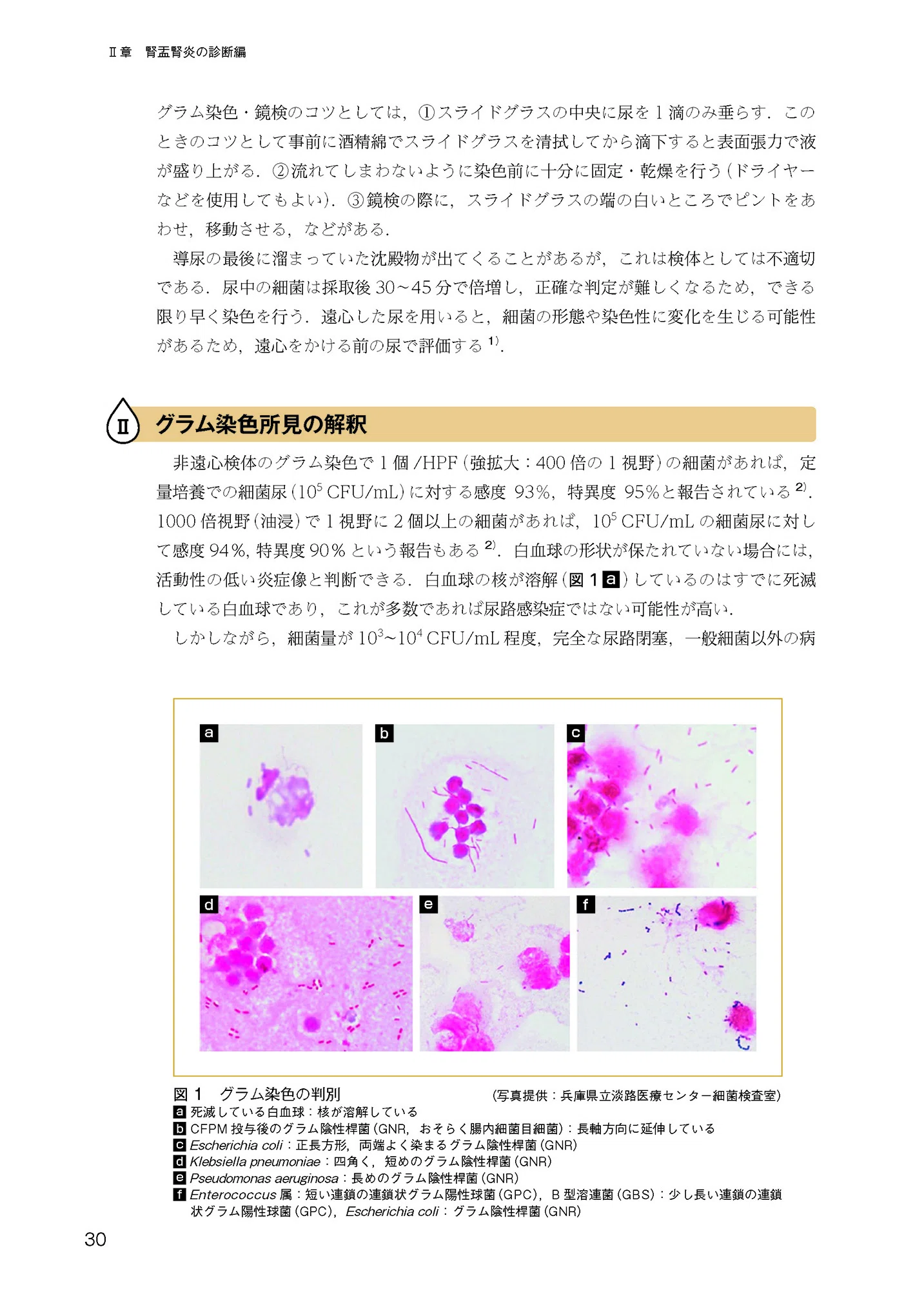 治療 2021年9月号 特集 「とことん極める! 腎盂腎炎」 長野 広之; 徳田 嘉仁 治療 2021年9月号 特集 「とことん極める! 腎盂腎炎」 | 長野 広之