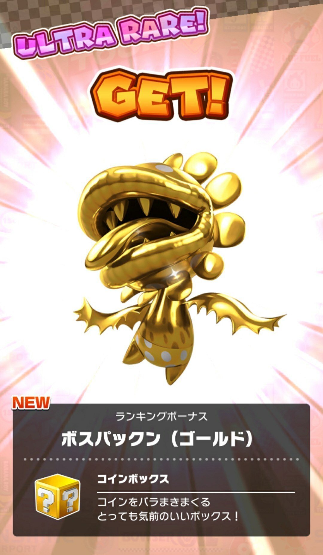 マリカツの近況―オータムツアー編―｜ルイ