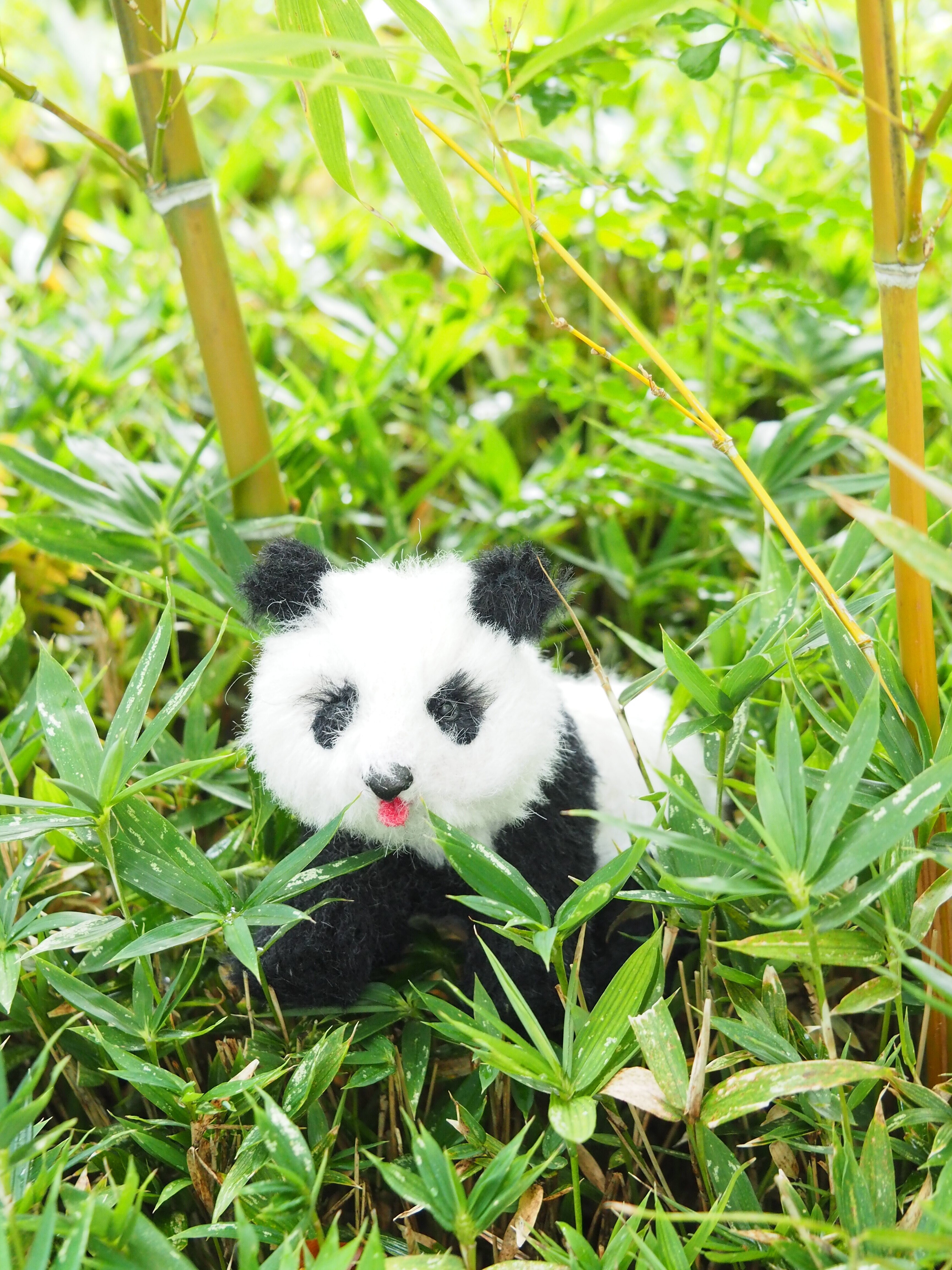 パンダ🐼来日50周年のテディの日🧸｜marie_nounours