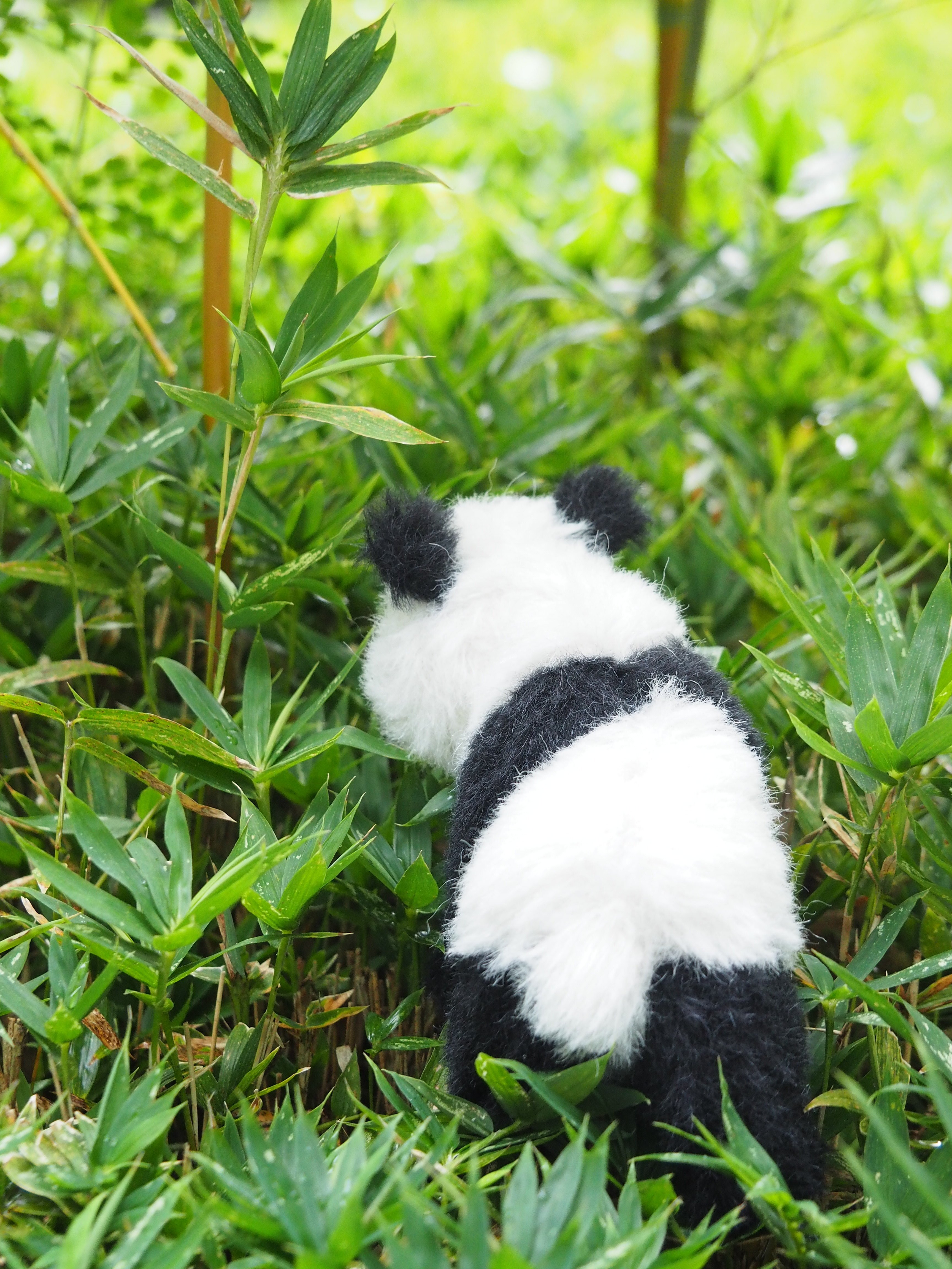 パンダ 来日50周年のテディの日 Marie Nounours Note