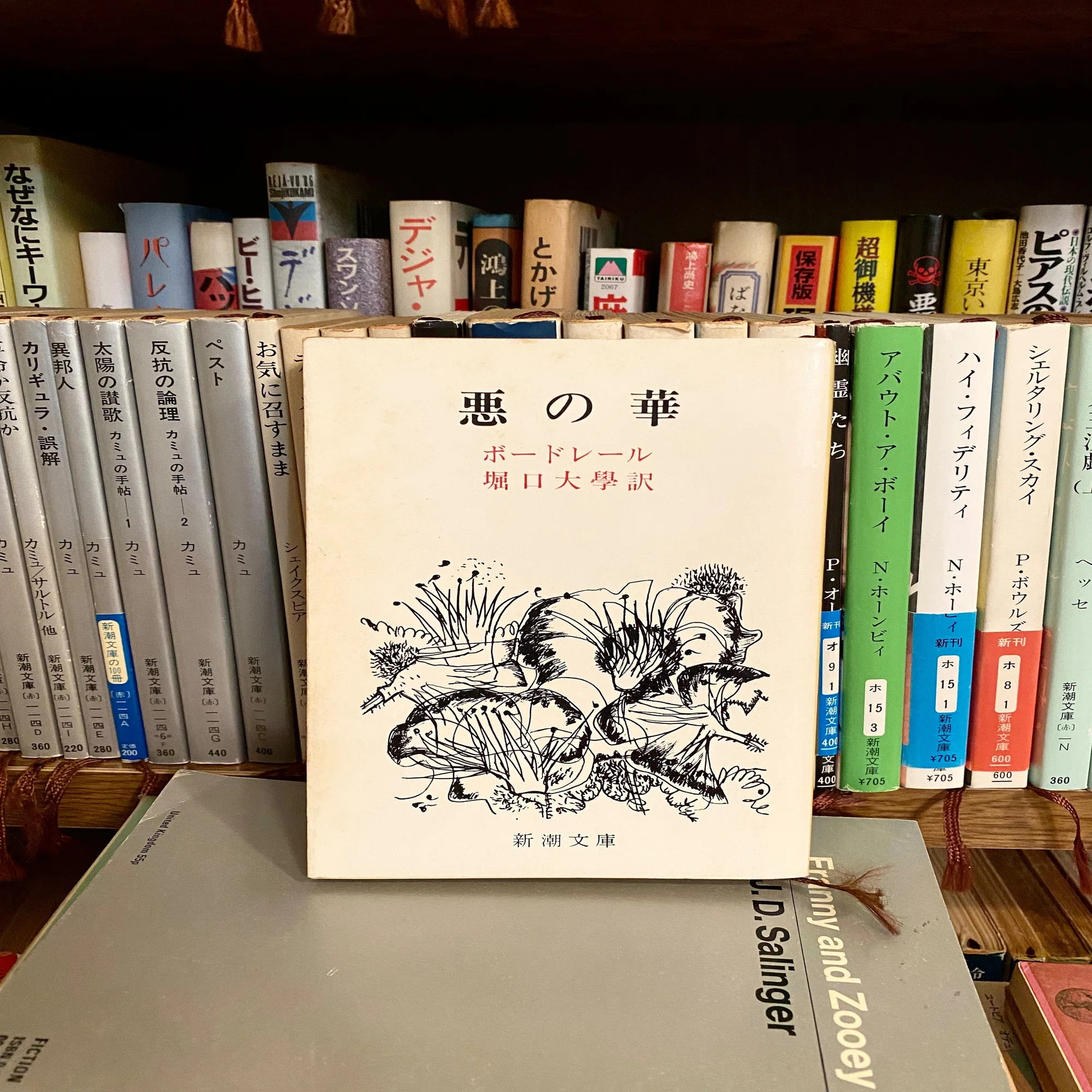 ボードレール「悪の華」｜緒 真坂 itoguchi masaka