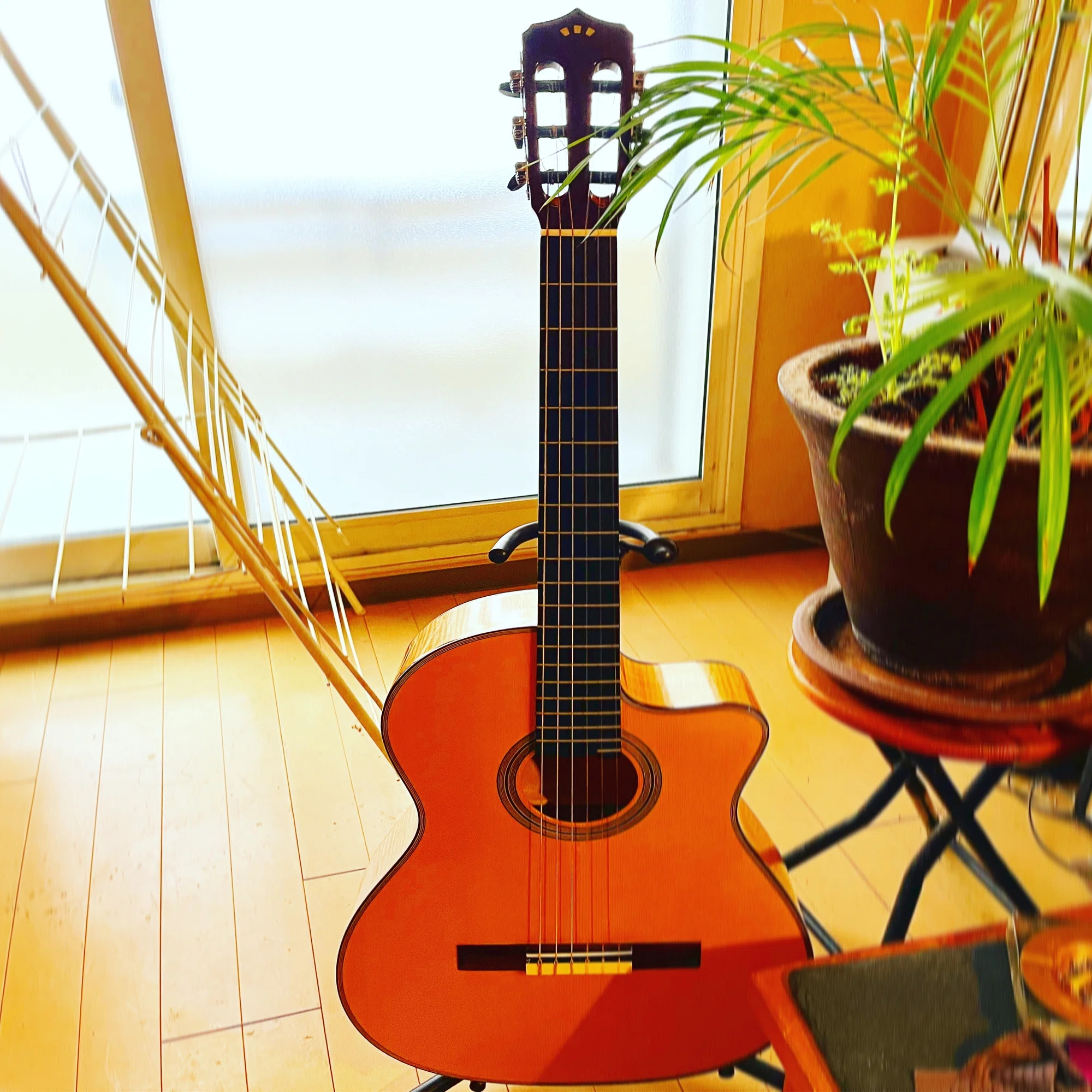 Córdoba FUSION Series 12 Maple｜Untitled Prototype