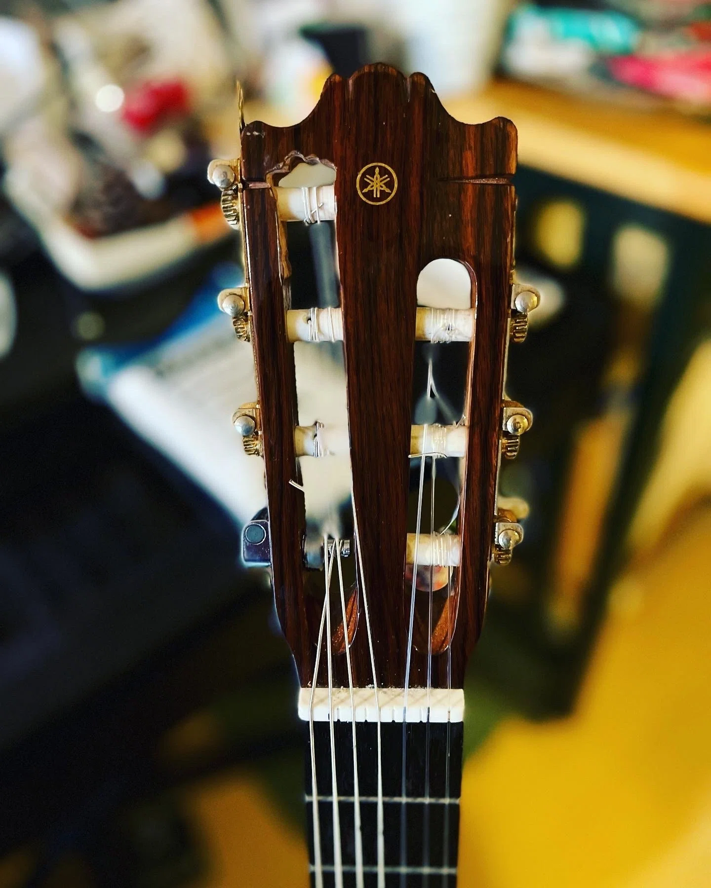 Córdoba FUSION Series 12 Maple｜Untitled Prototype
