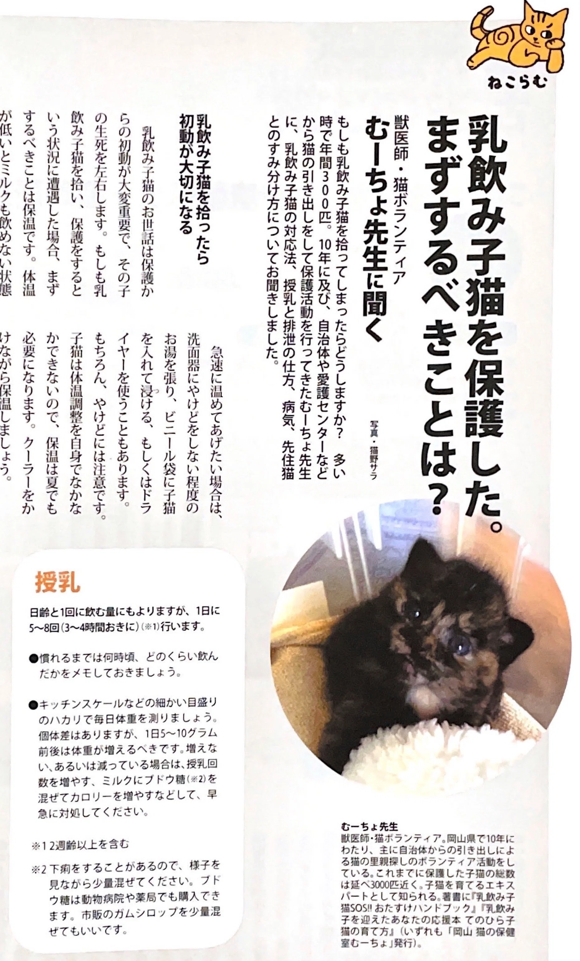 ねこ検定」をめぐる興奮｜猫野ソラ