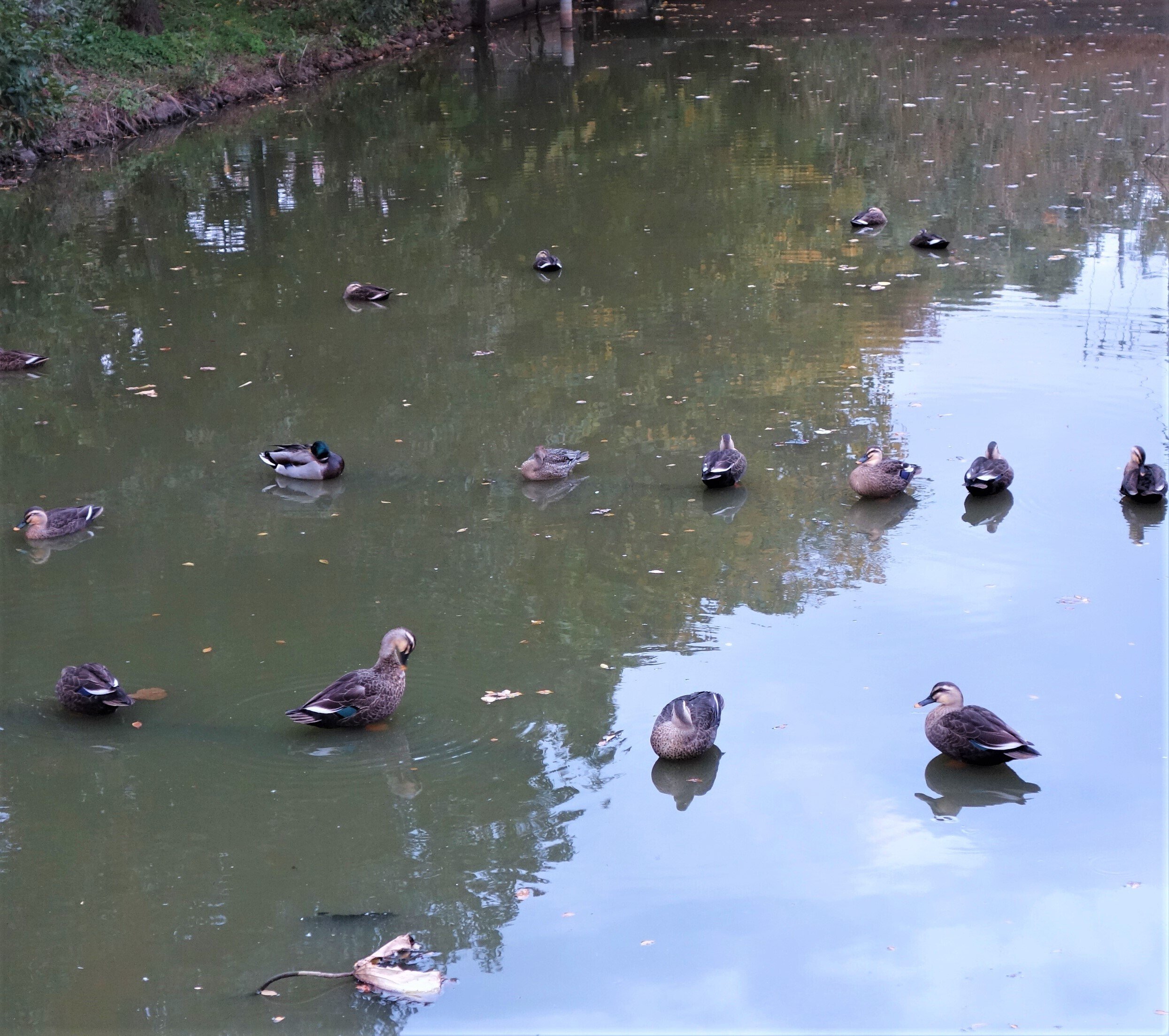 整列|zep0814 i理昭