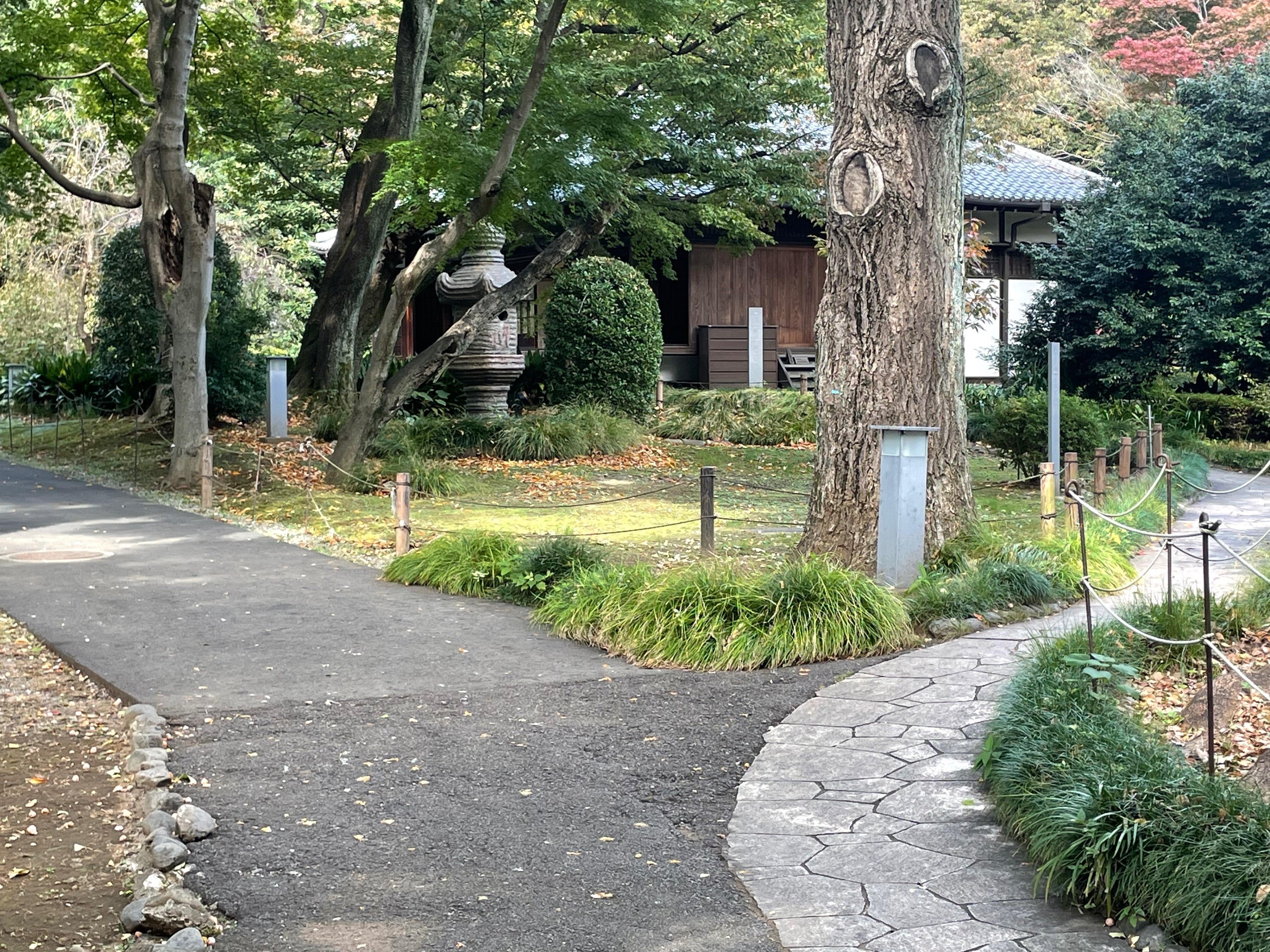 ※稀覯※　桃川燕玉　大正五年　【 長篇講談　天一坊 / 村井長庵 】　博文館 Amazon.co.jp: 大正五年 桃川燕玉：演 長篇講談 天一坊 村井長庵