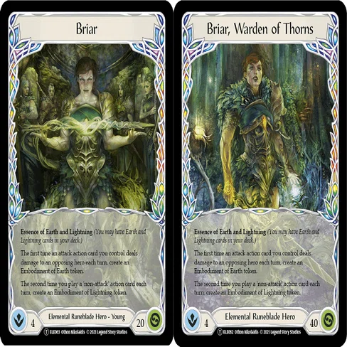 flesh and blood : Briar｜cb