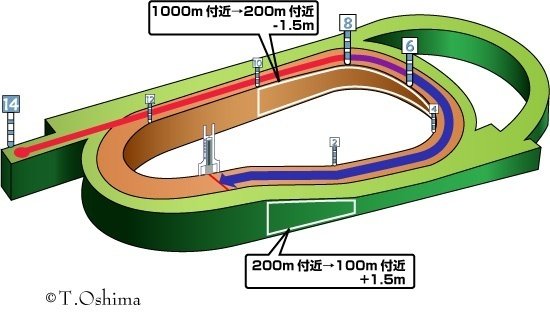 みやこＳ】11/6(日) 阪神競馬場 馬場状態＆全レース分析(展開注目