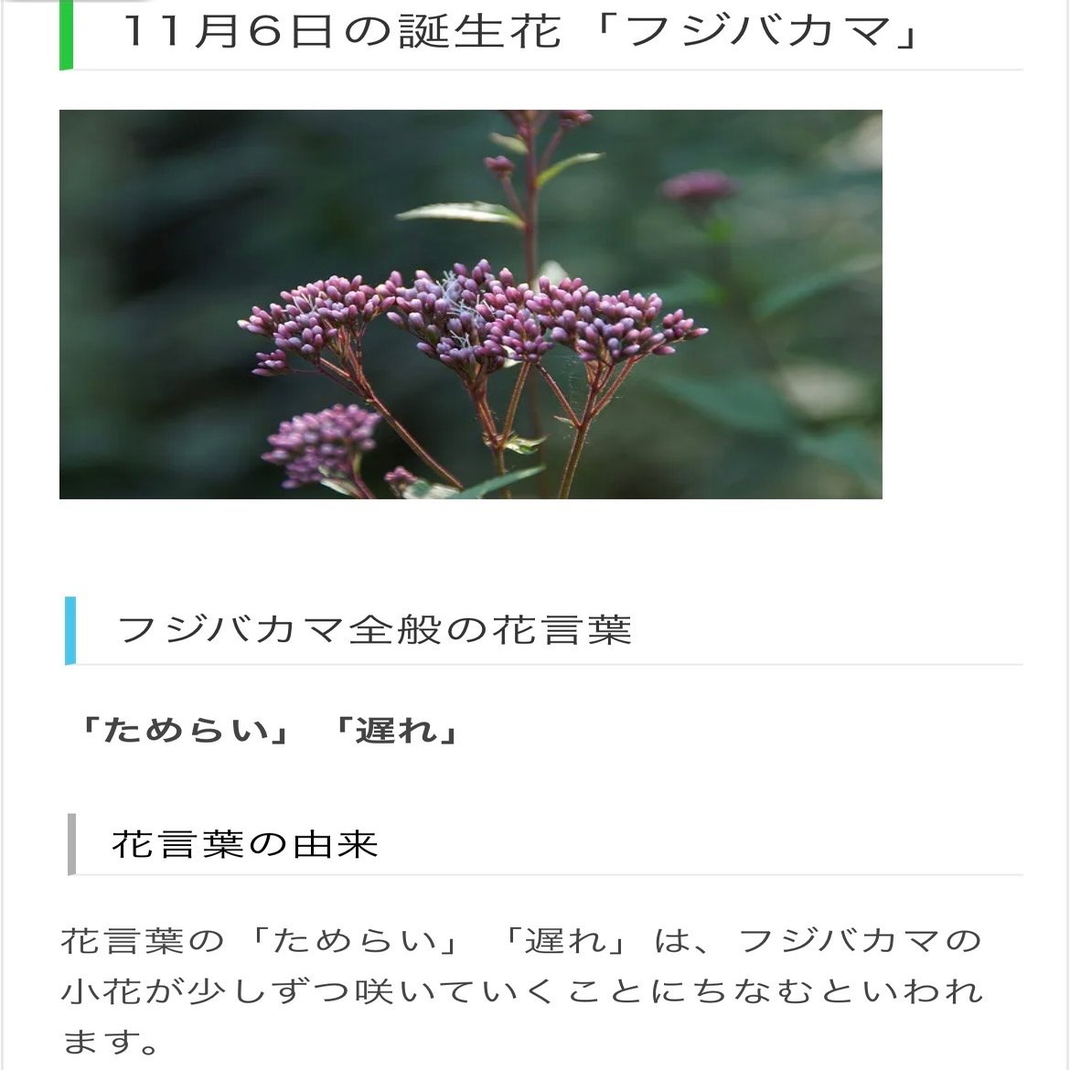 11月6日生まれのあなたへ Chiyo Note