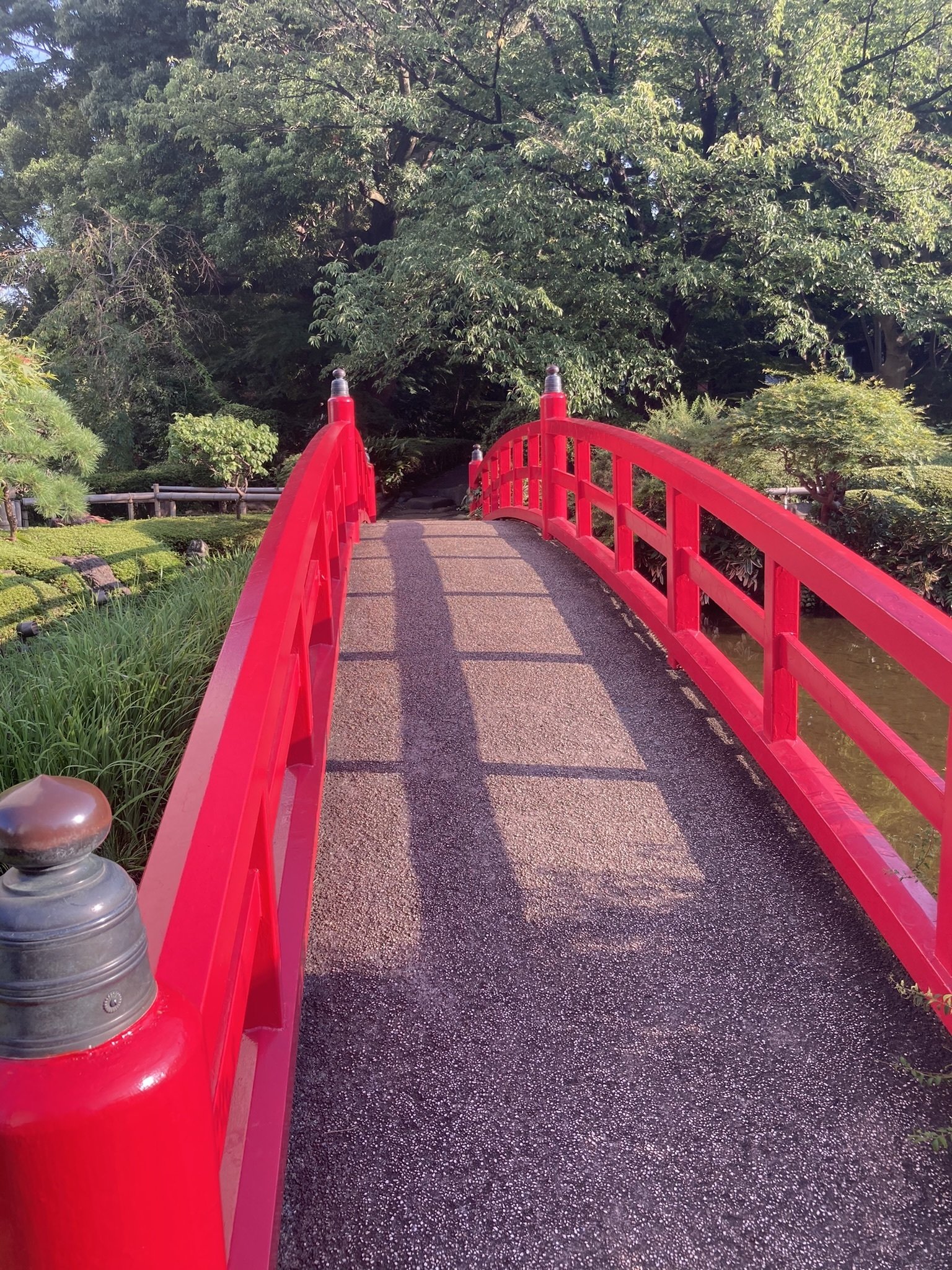 赤い橋|斜芭 萌葱