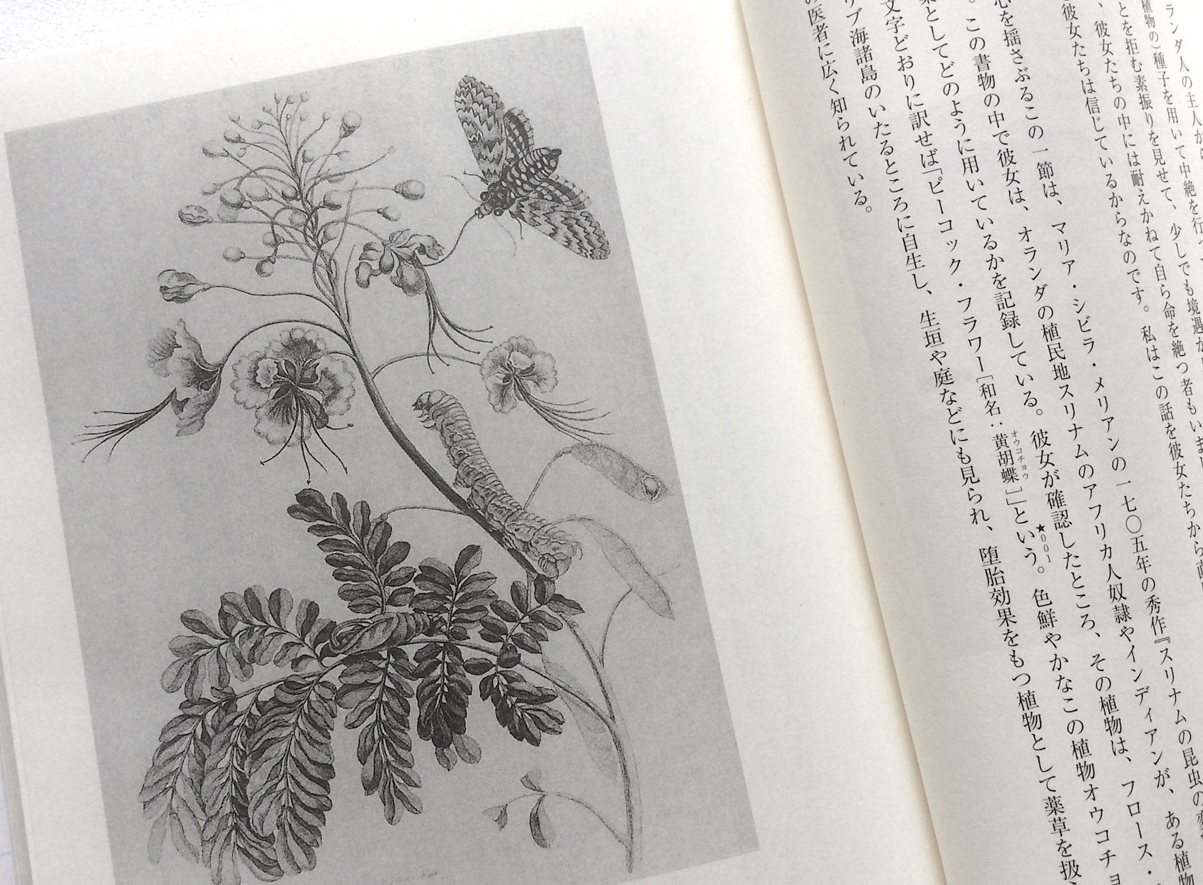 科学史研究者 鶴田想人さんが読む『植物と帝国』──わたしの 科学史研究者 鶴田想人さんが読む『植物と帝国』──わたしの