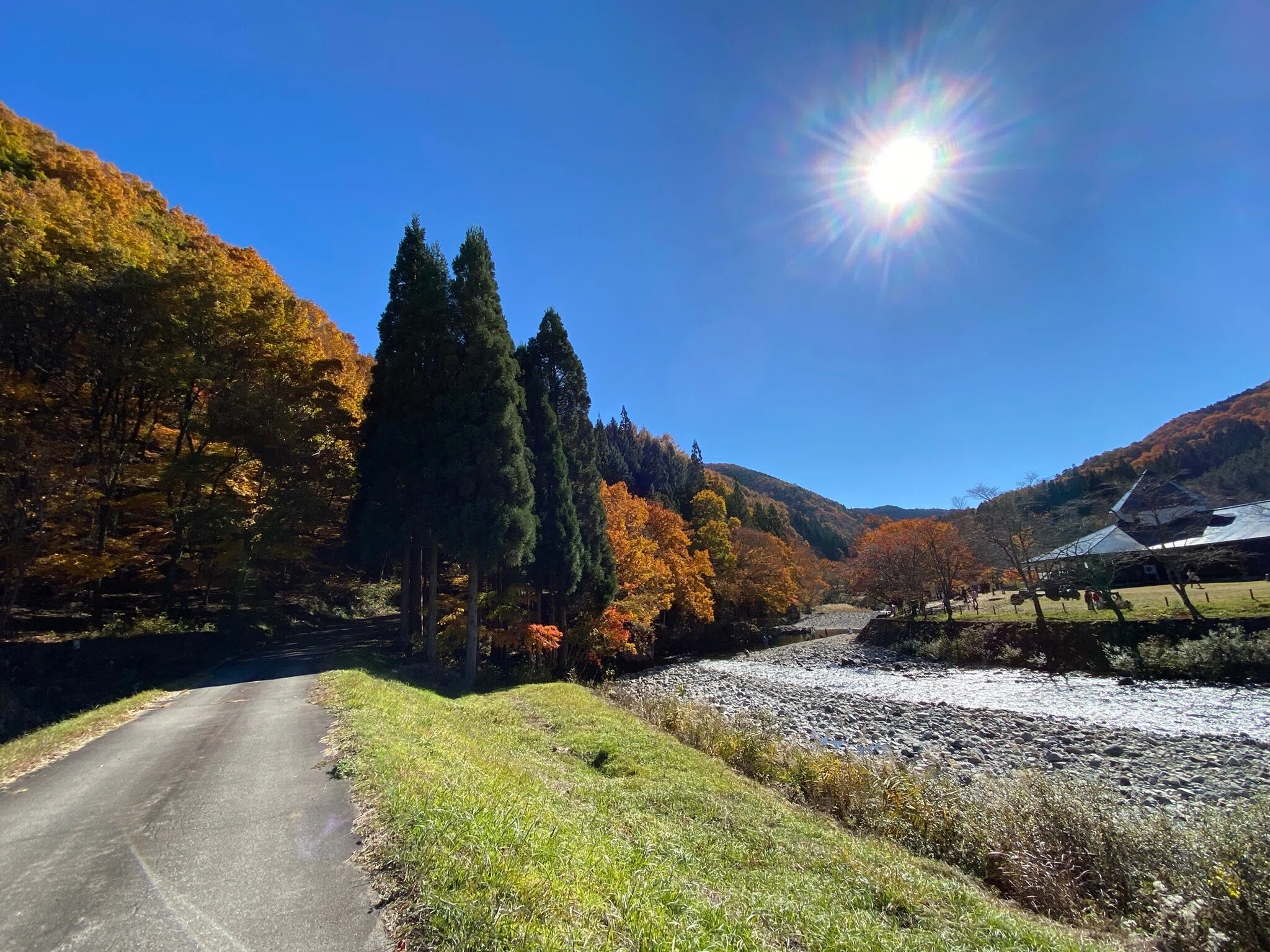 163 紅葉のグラデーションを肌で感じる・せせらぎ街道ドライブ｜揺蕩う