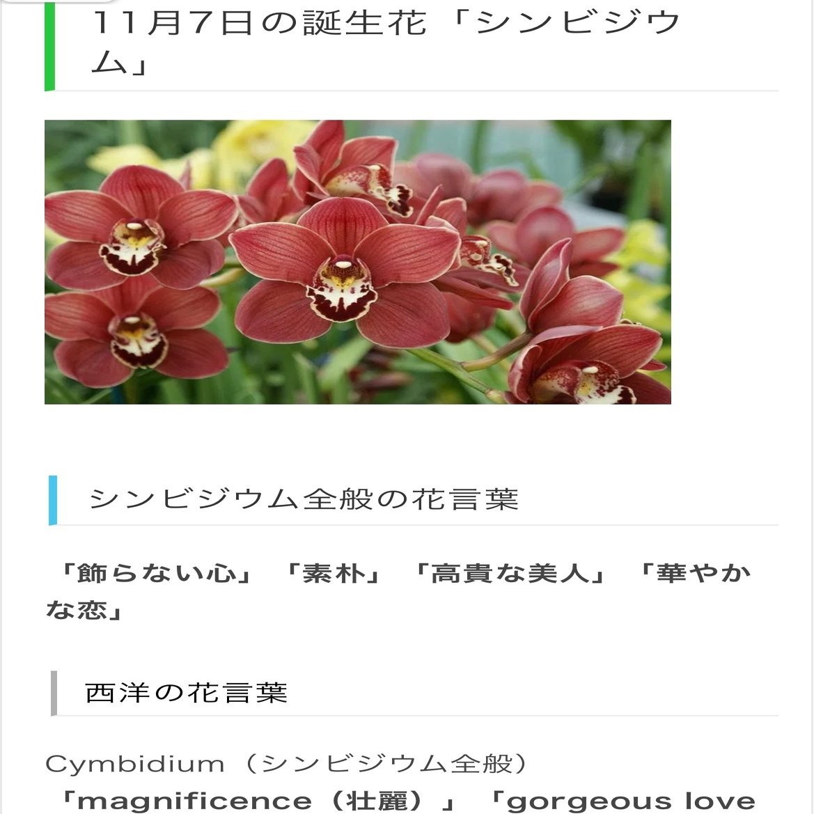 11月7日生まれのあなたへ Chiyo Note