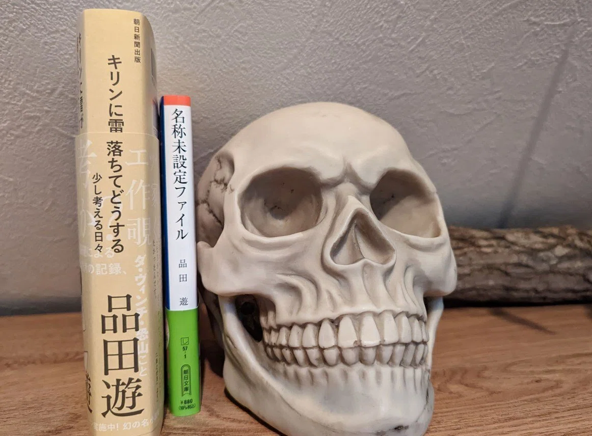 どこからマヌルかわからない」2022年11月6日の日記｜品田遊（ダ