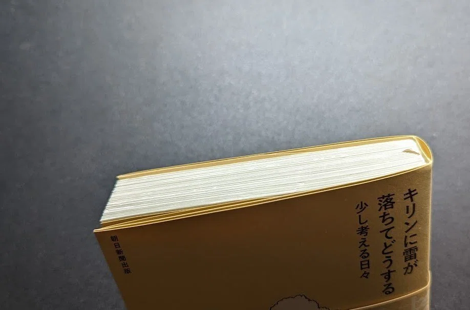 どこからマヌルかわからない」2022年11月6日の日記｜品田遊（ダ