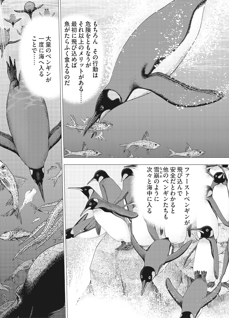 インベスターZ Amazon.co.jp: インベスターZ(1) eBook : 三田紀房: Kindleストア