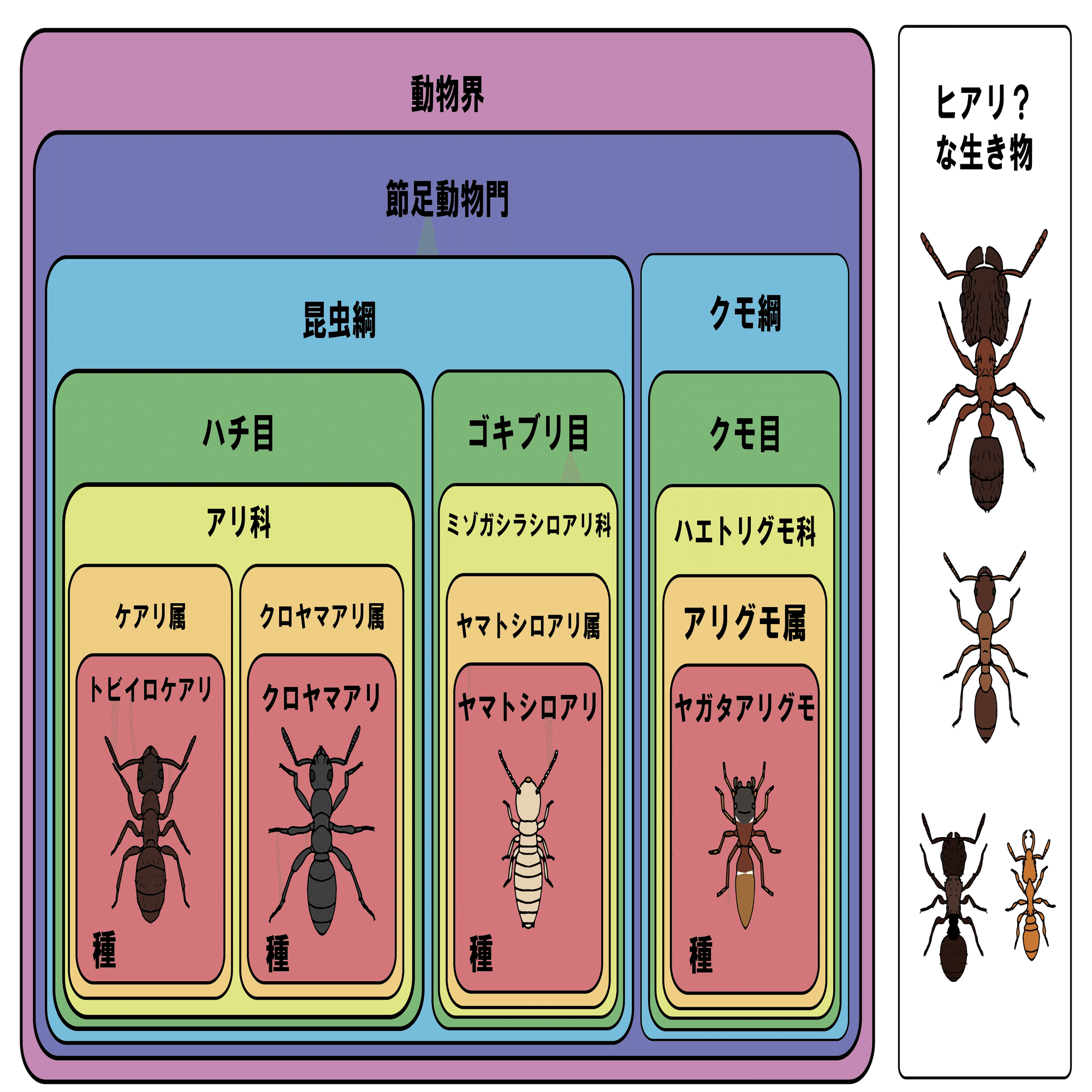 科学館で「ヒアリ」を探した話｜浜松科学館 みらいーら