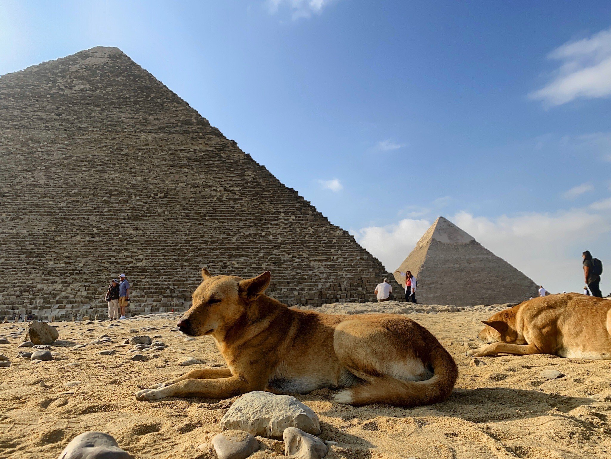 エジプト旅行② l みんながよく行くピラミッド。スフィンクスの向かい