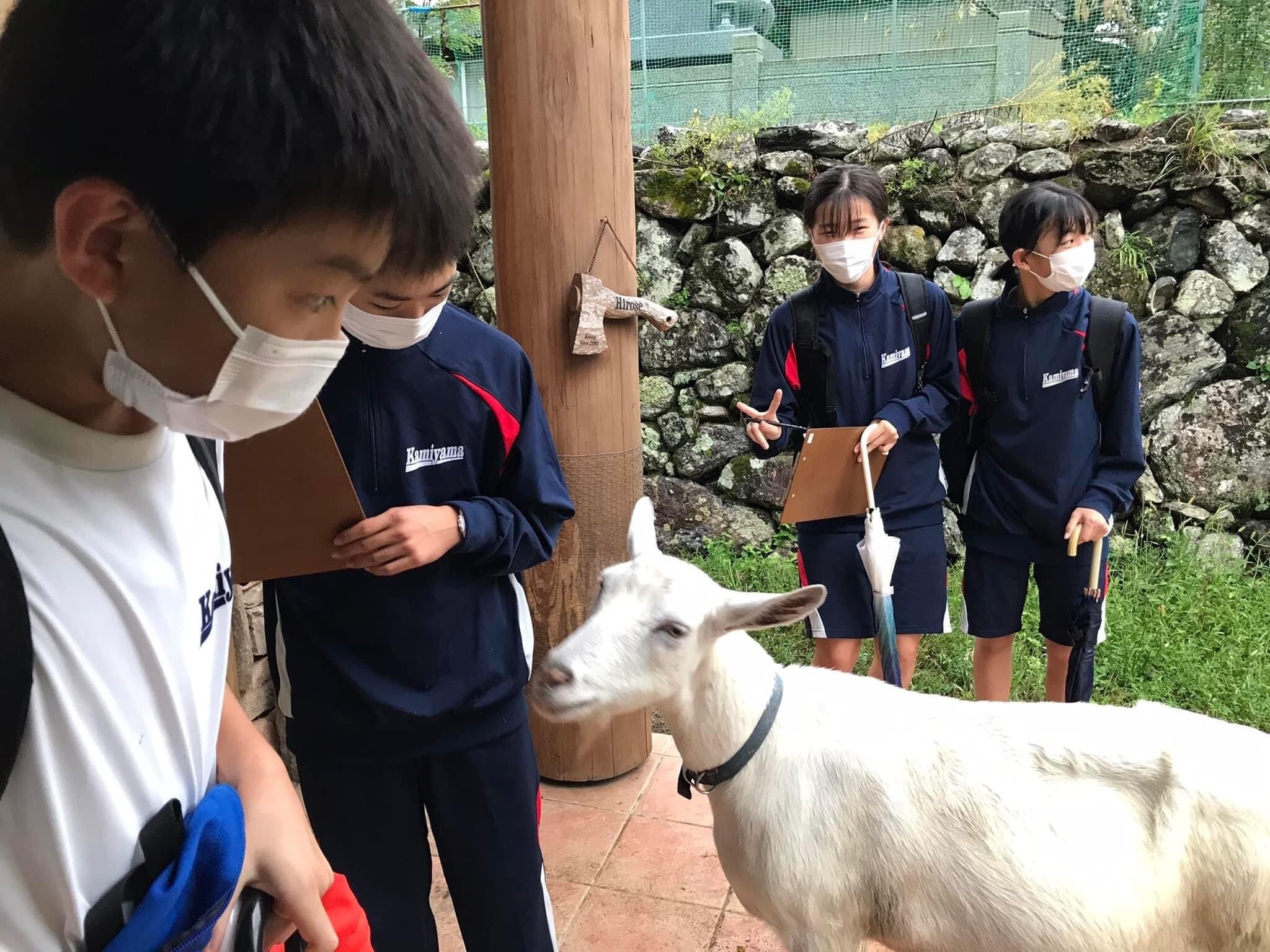 なぜヤギと暮らすのか？｜広瀬浩二