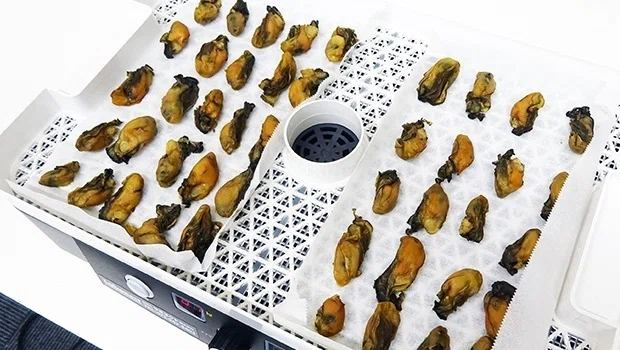 旨味濃縮 干し 牡蠣 でつくる牡蠣の炊き込みご飯 ラボネクト株式会社 フードドライヤー 製粉機 ミル など食品加工器具取扱 Note 旨味濃縮 干し 牡蠣 でつくる牡蠣の炊き込みご飯 ラボネクト株式会社 フードドライヤー 製粉機 ミル など食品加工器具取扱 Note