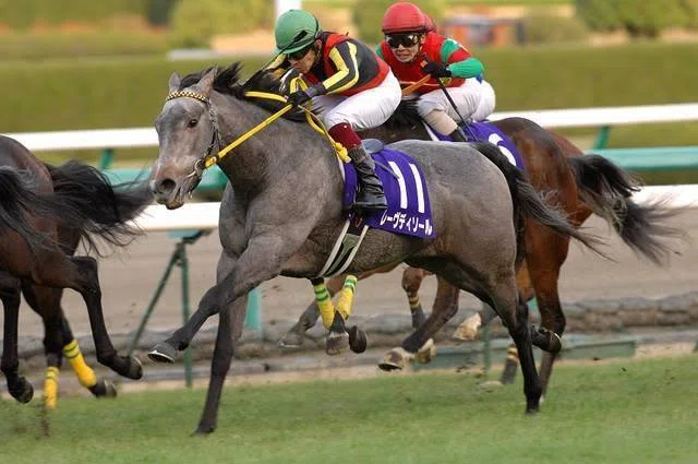 ウマ娘で学ぶ競馬史 #31 紡がれし希望 (2011)｜マツウラ