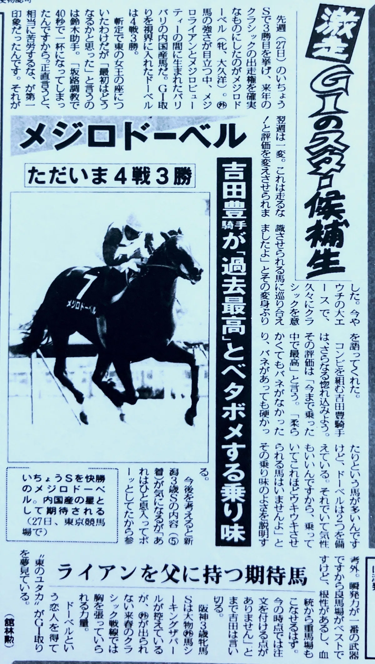 メジロドーベル せれ GI 第58回オークス 単勝馬券