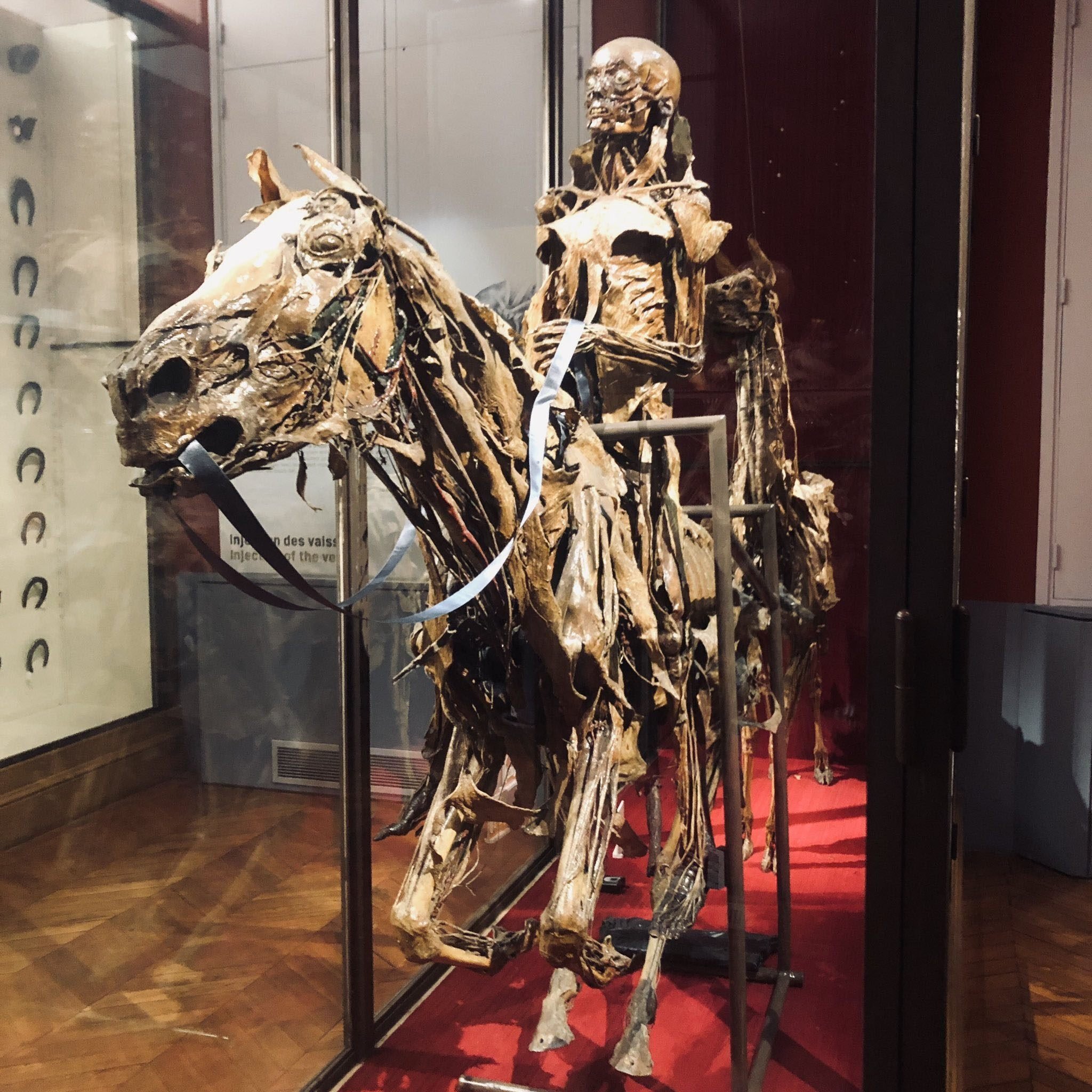 アングラ音楽を嗜む人間による パリのレコード屋＆楽器屋紹介｜DJ ねこ