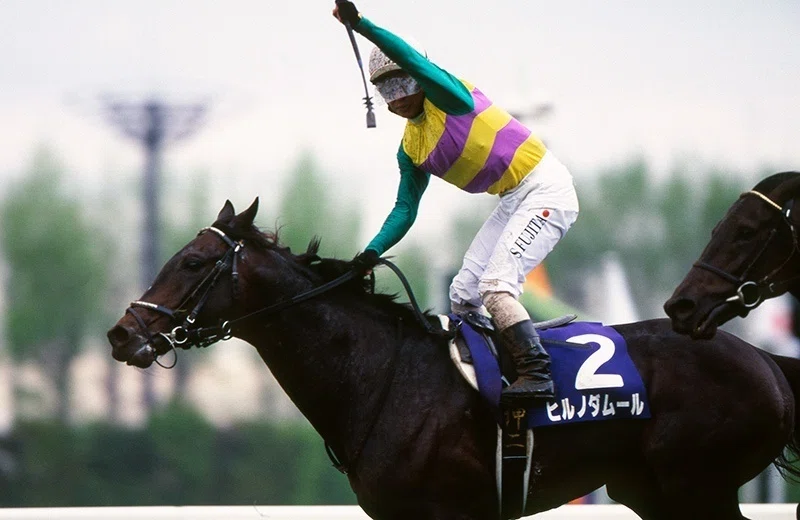 【期限切れ単勝馬券】　きさらぎ賞　2011 オルフェーヴル　ウマ娘 期限切れ単勝馬券】 きさらぎ賞 2011 オルフェーヴル ウマ娘 【公式通販】