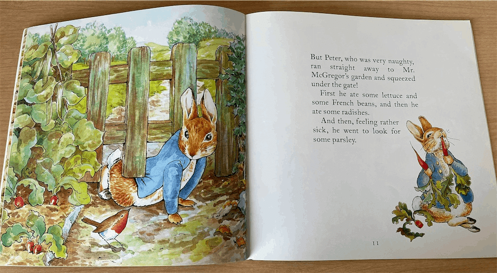 ピーターラビットの洋書絵本 The Tale of Peter Rabbit ピーターラビットのおはなし