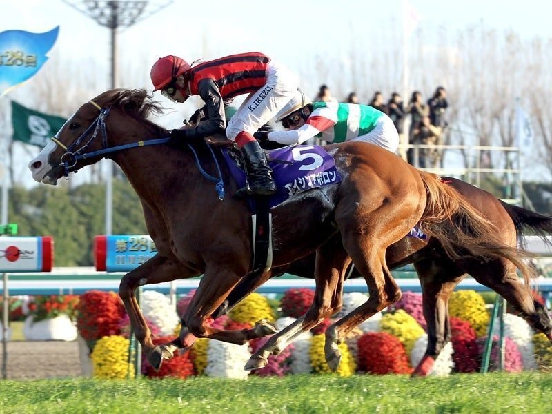 ウマ娘で学ぶ競馬史 #31 紡がれし希望 (2011)｜マツウラ