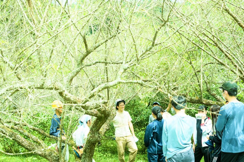 クロスカリキュラムのプロジェクトの様子①