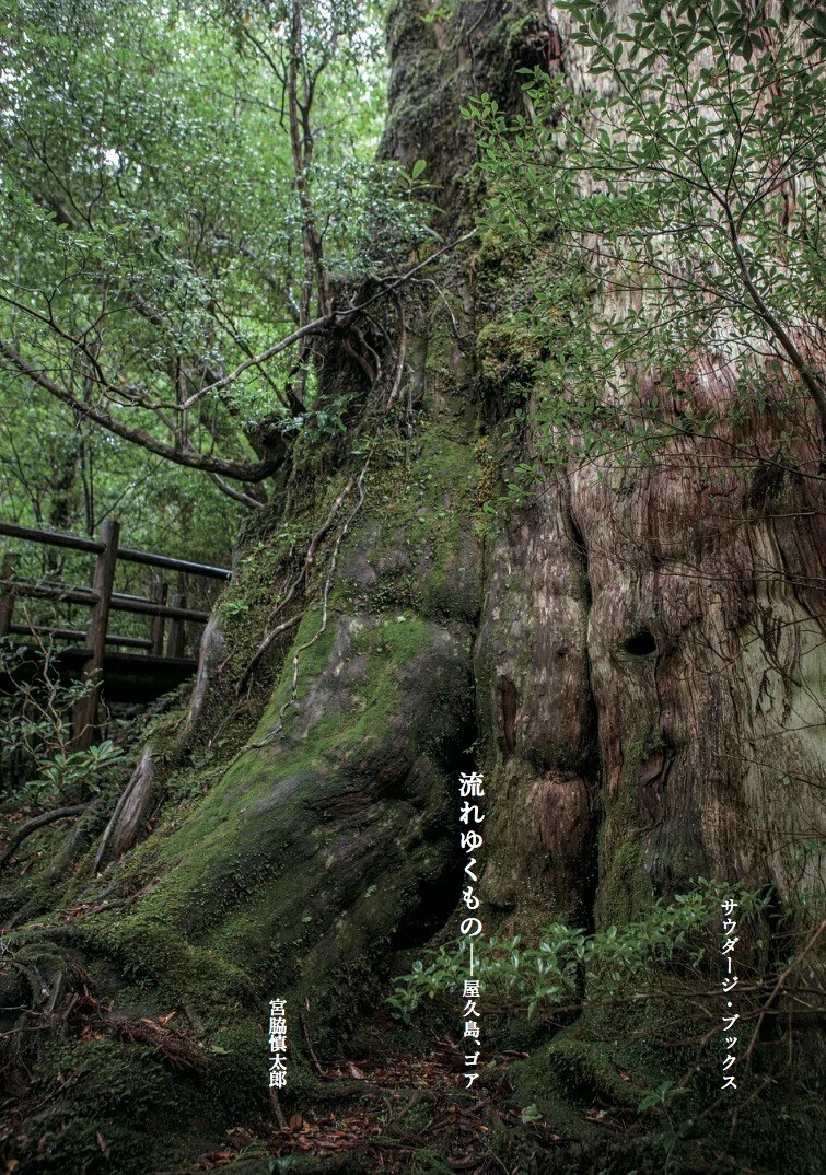 Road to Yakushima #5（宮脇慎太郎）｜Saudade Books