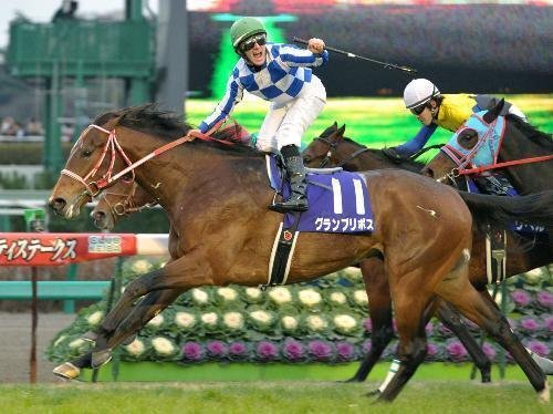 【期限切れ単勝馬券】　きさらぎ賞　2011 オルフェーブル　ウマ娘 期限切れ単勝馬券】 第72回 菊花賞 オルフェーブル ウマ娘