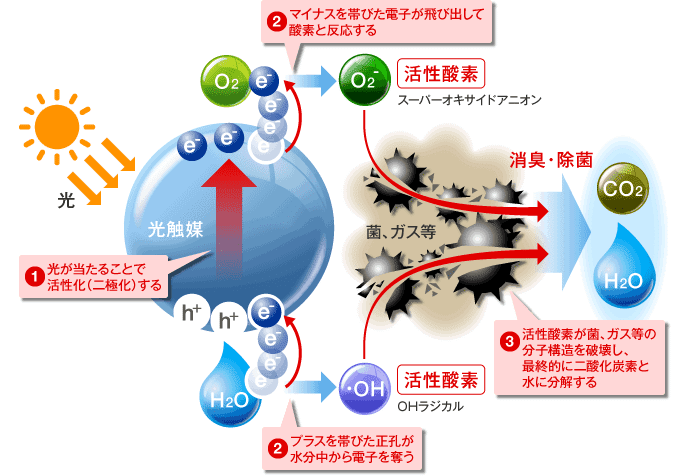 これ1本で全身ケアに!【ビーワンオールインローション】のご これ1本で全身ケアに!【ビーワンオールインローション】のご