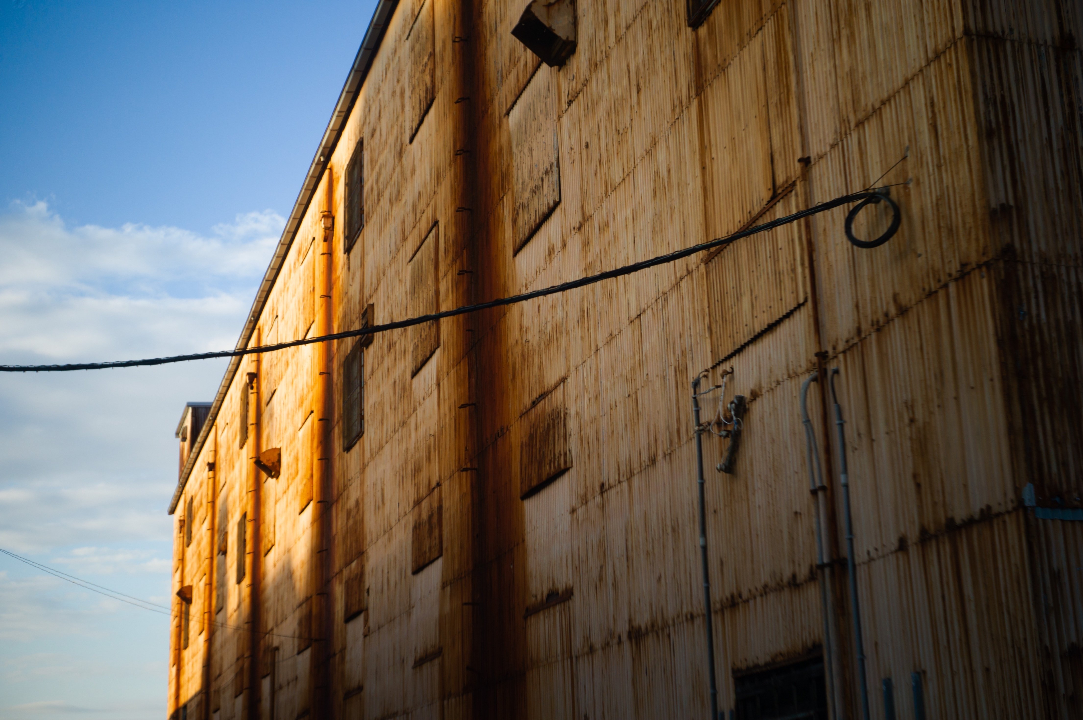 作例(8)】Angenieux 50mm F2.9 Type Z5（Lマウント）｜Shinichi