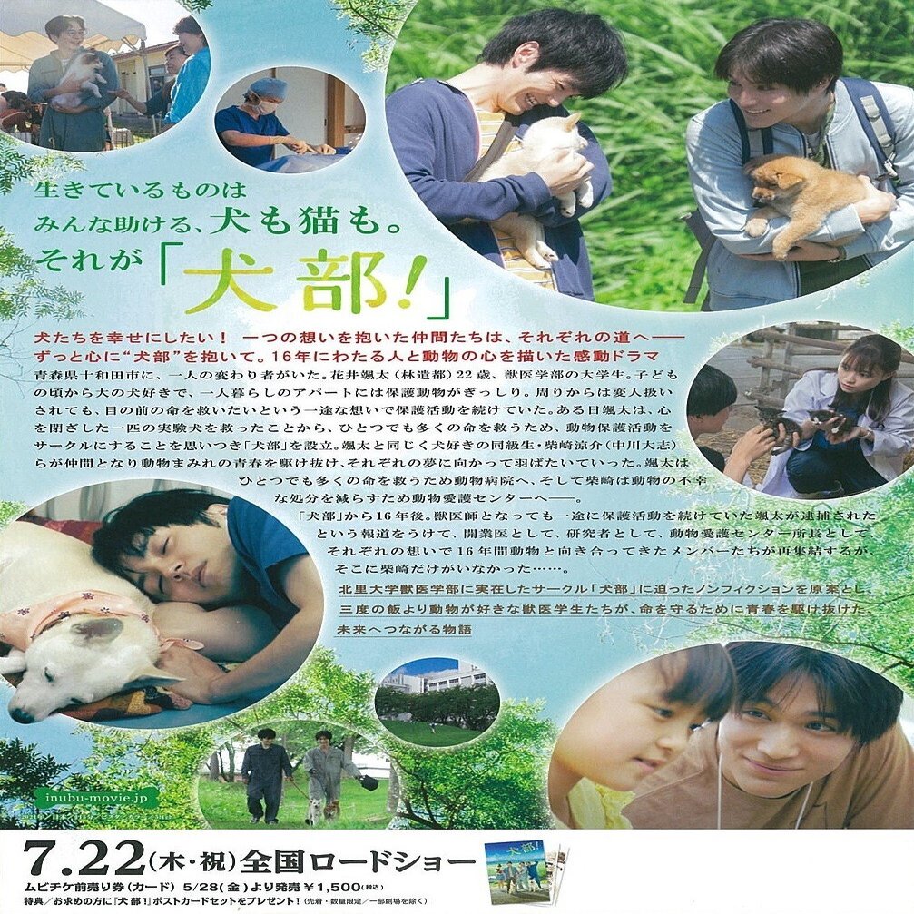 映画感想 21年日本映画 犬部 配信動画 Netflixやamazonプライムビデオ Note