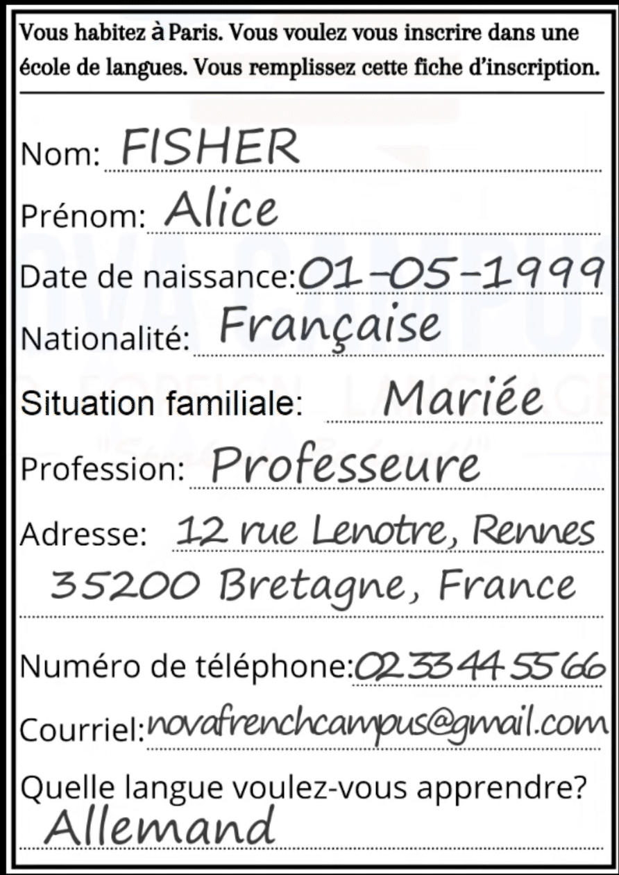 Reussir LE DELF A1 フランス語 テキスト DALF 仏語 Reussir LE DELF A1 フランス語 テキスト DALF 仏語 フランス語 DELF