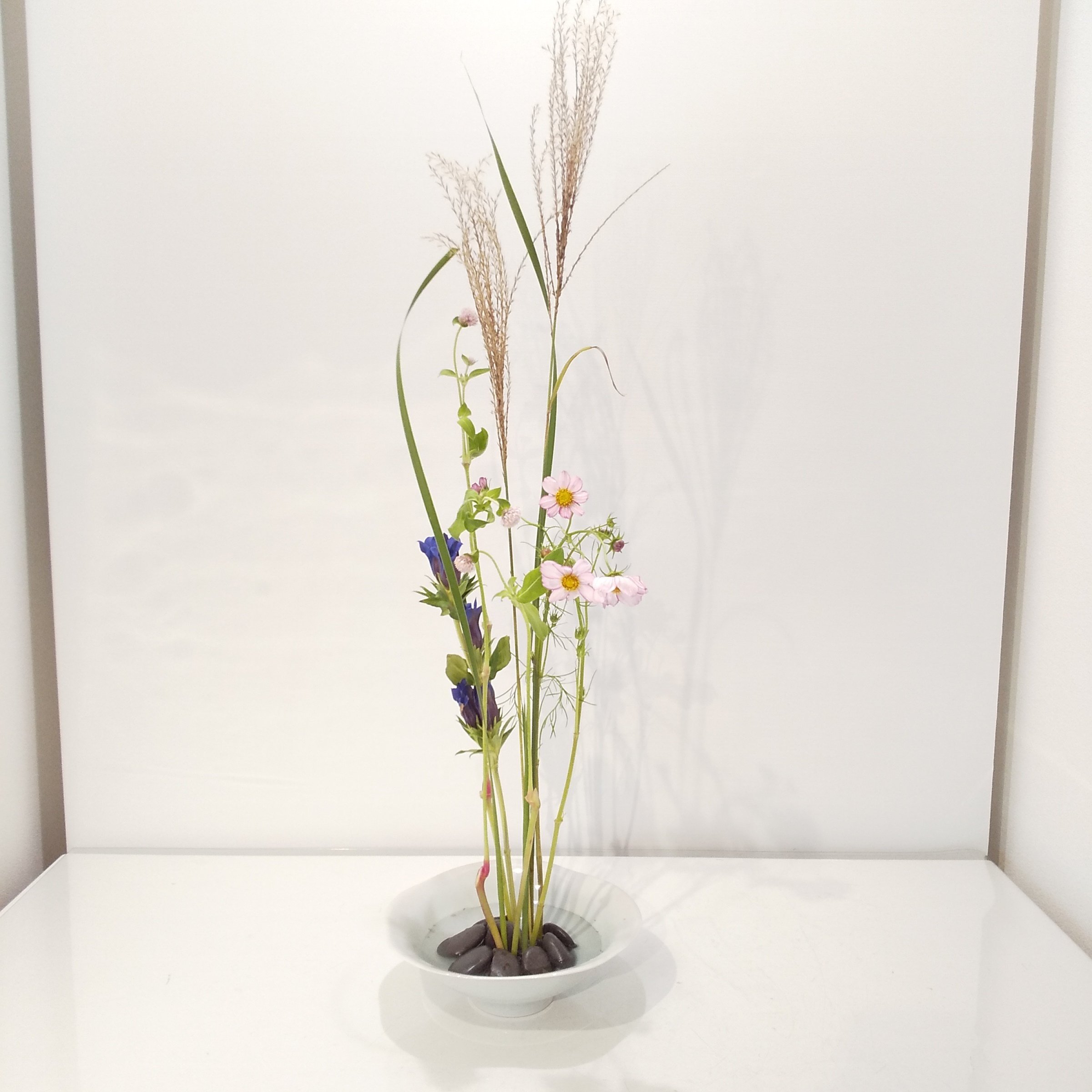 草月流　いけばな花器　４本足つき いけばな草月流 Ikebana Sogetsu - 仁儀菫宵 素材：グロリオーサ