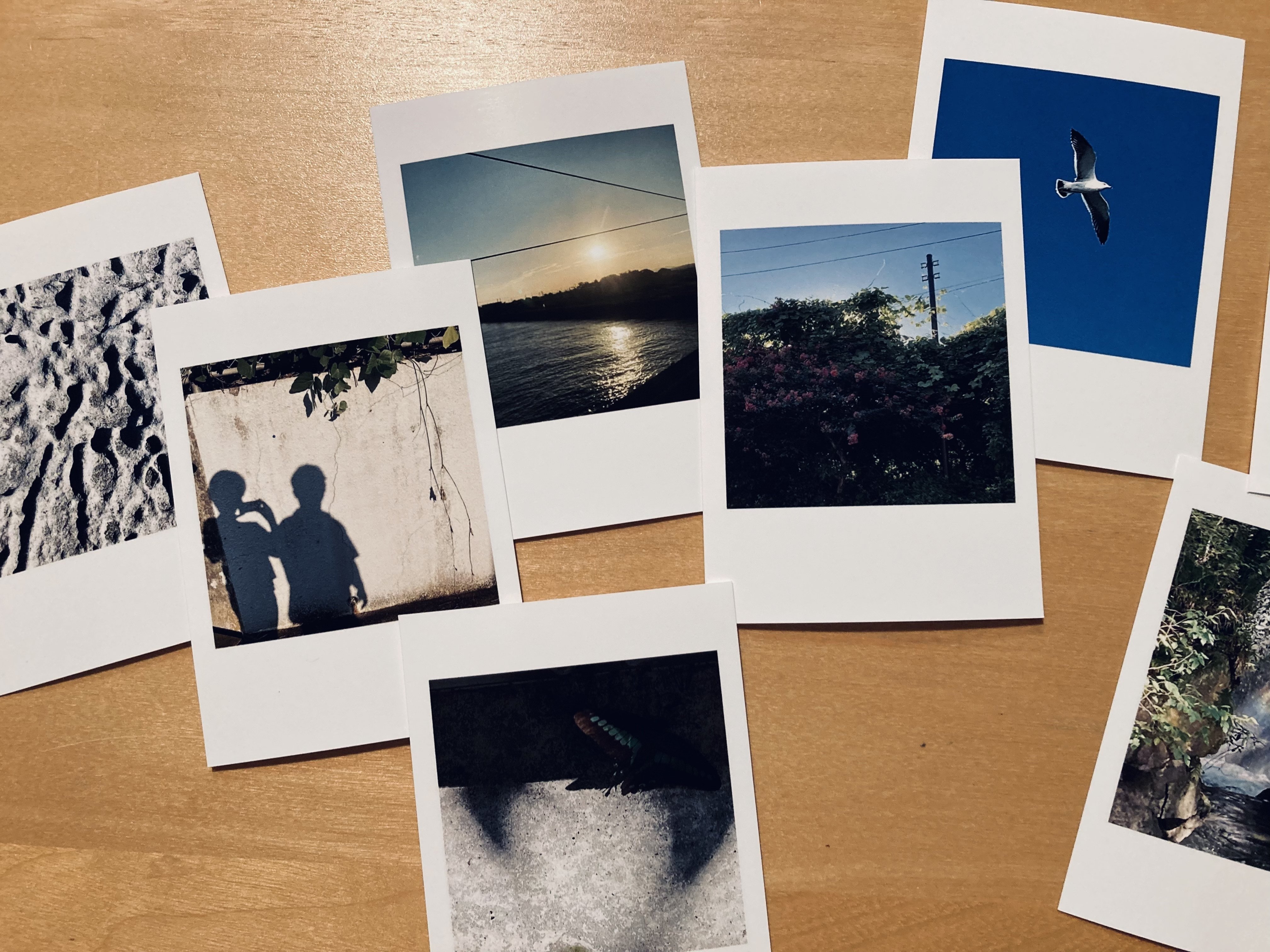 撮影した写真を栞(しおり)にする。｜ときた ゆう