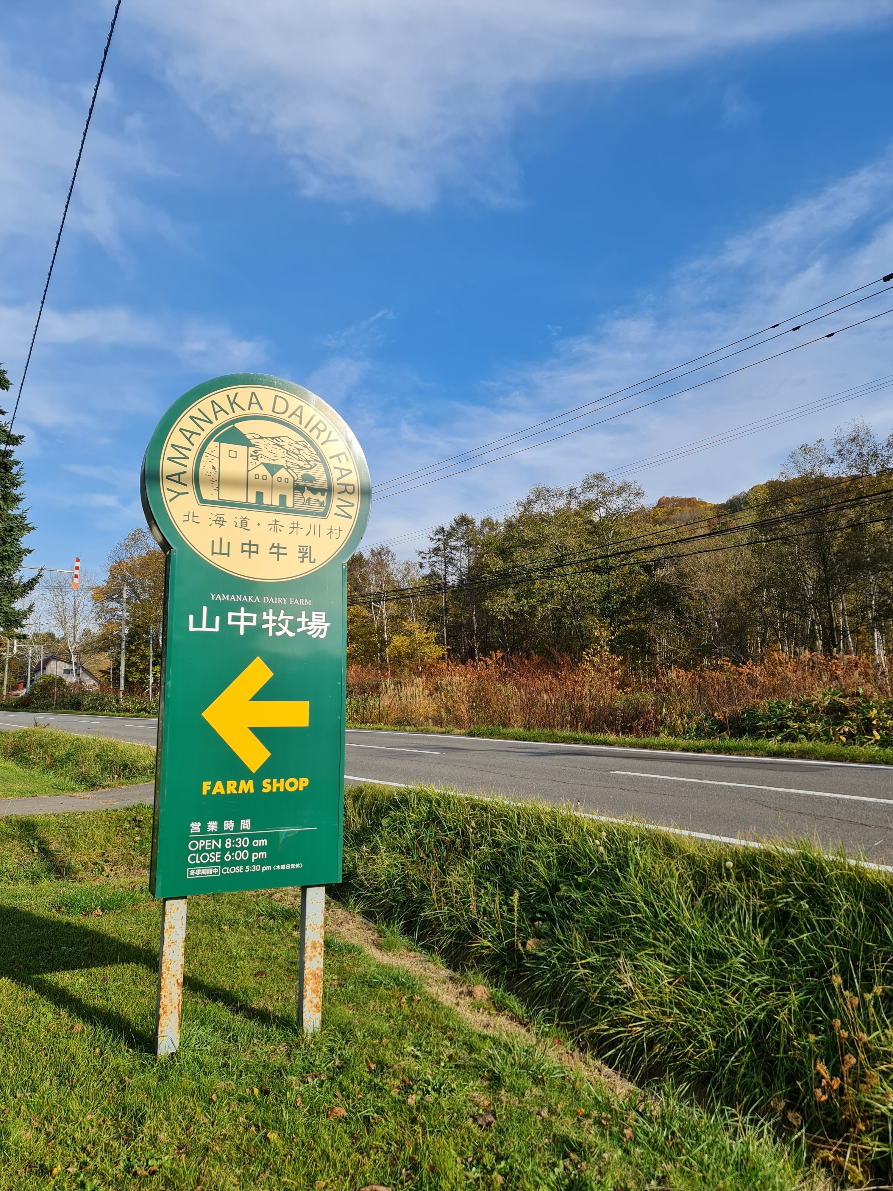 Galaxy z fold4と一眼レフカメラの写真を比較してみた｜タチサラ