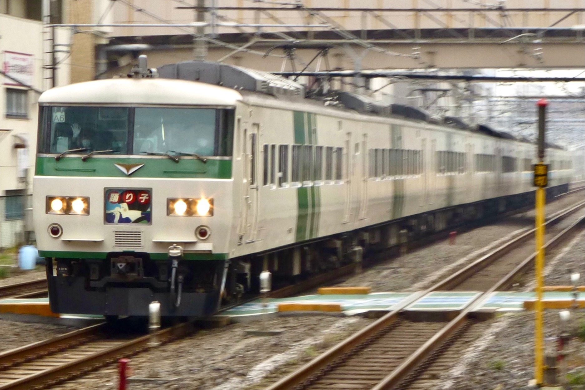 185系リレー号 JR東】「新幹線リレー号活躍当時のカラーリングに変更した185系