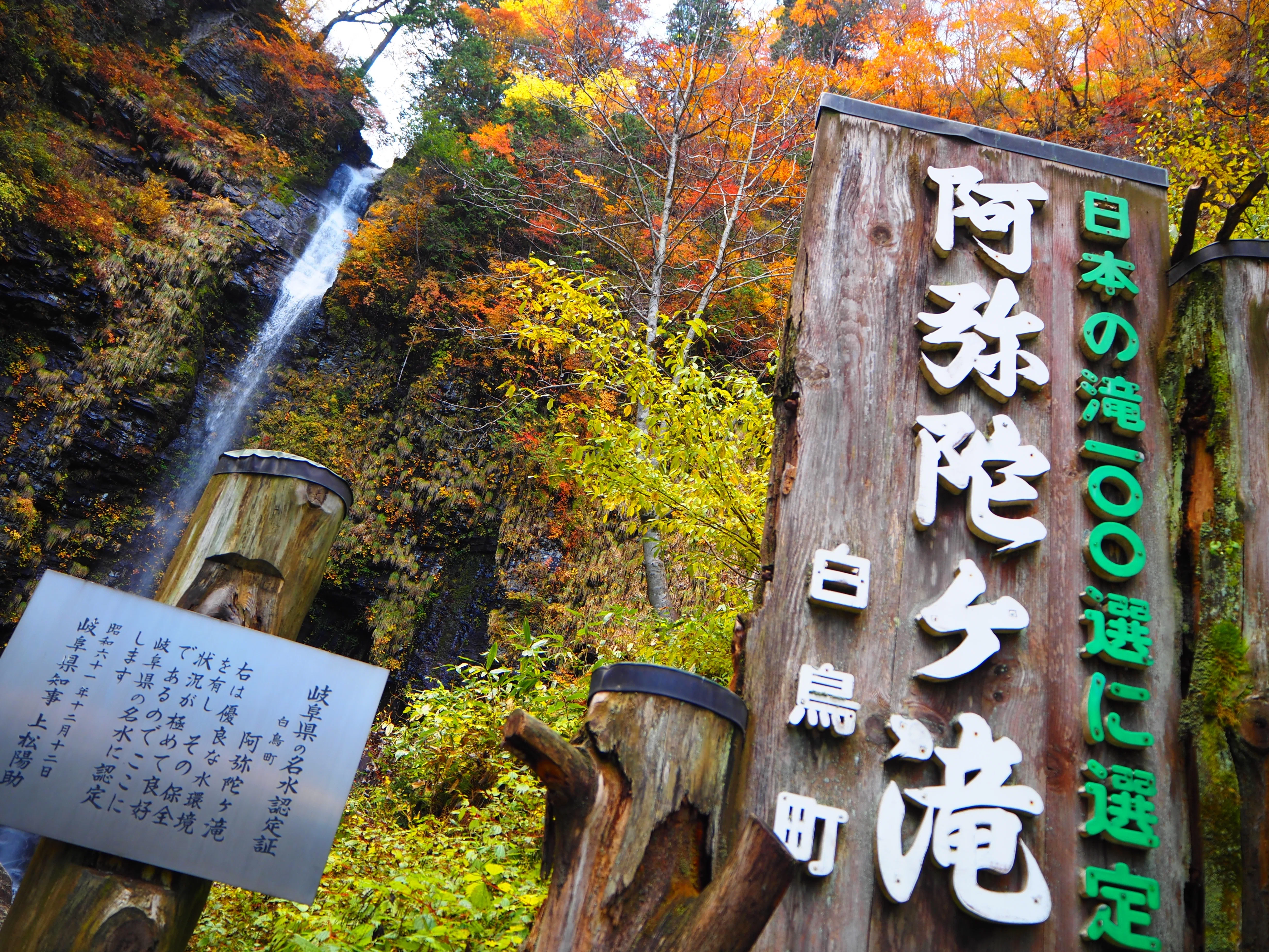 郡上市白鳥町にある阿弥陀ヶ滝の紅葉は星3つ…いやっ、星5つでした