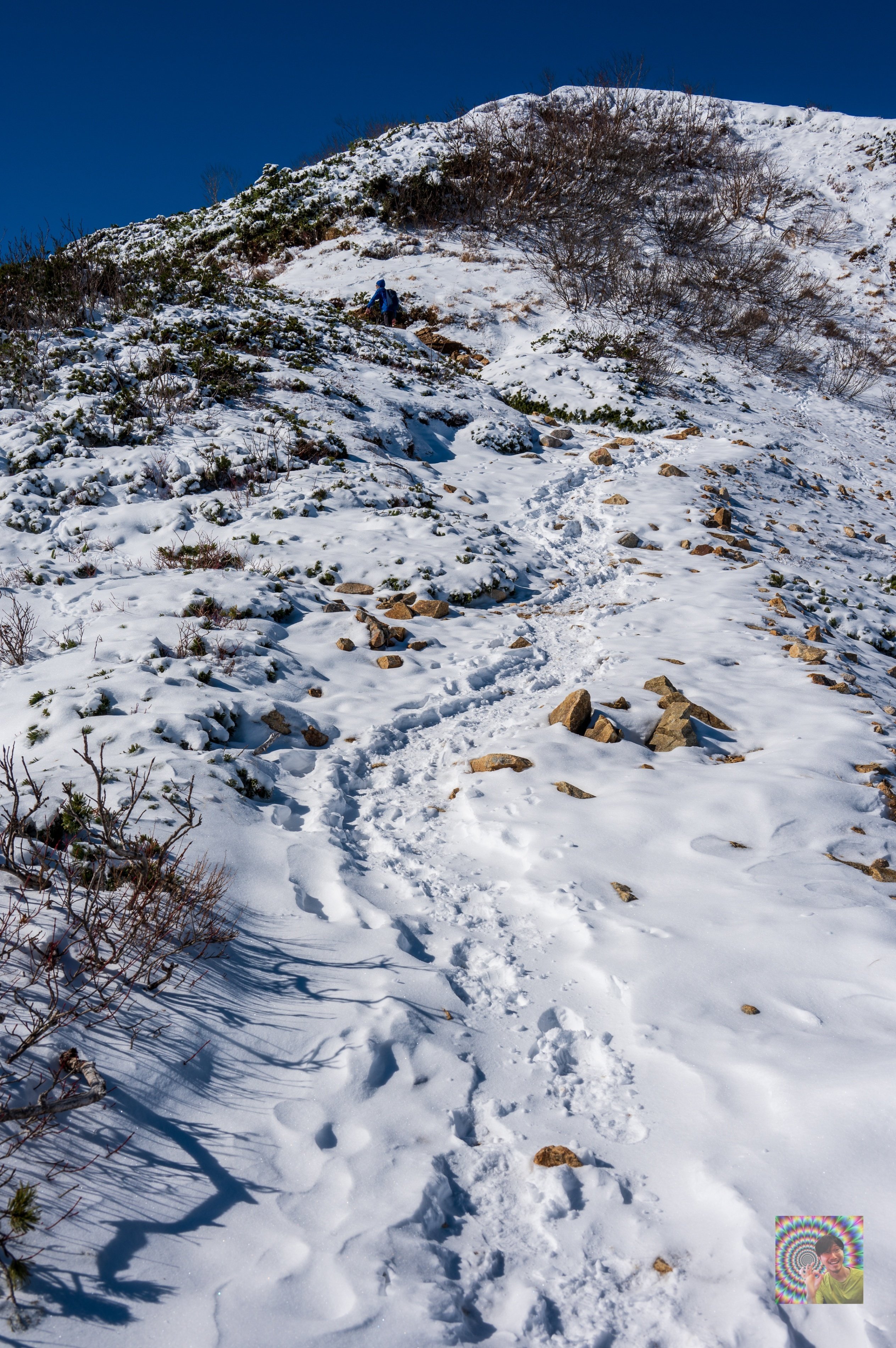 厳冬期到来前、唐松岳を目指してきた記 -標高2000mから上は冬景色-｜て