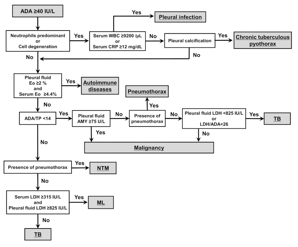 胸水ADA≧40IU/Lでも油断しちゃダメ｜Masafumi Shimoda
