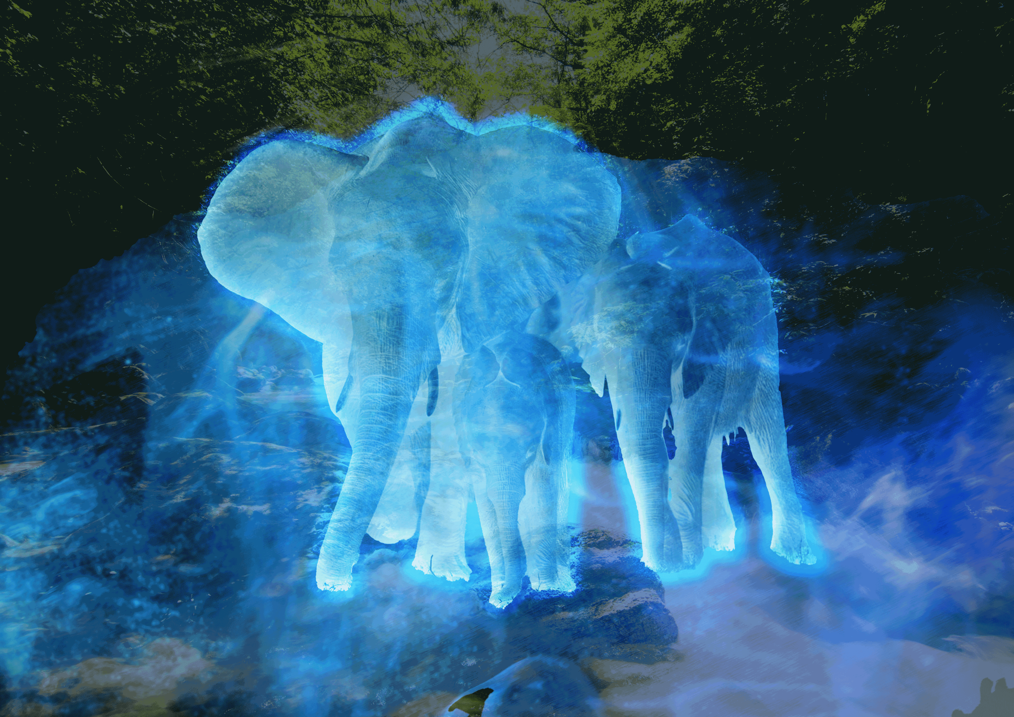 象の精霊 ボクヅクリ Note