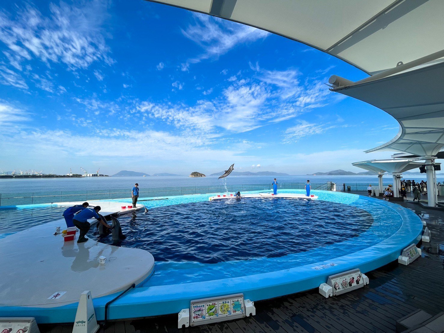 レポ#36 寝台列車サンライズ瀬戸で行く「四国水族館」｜haru